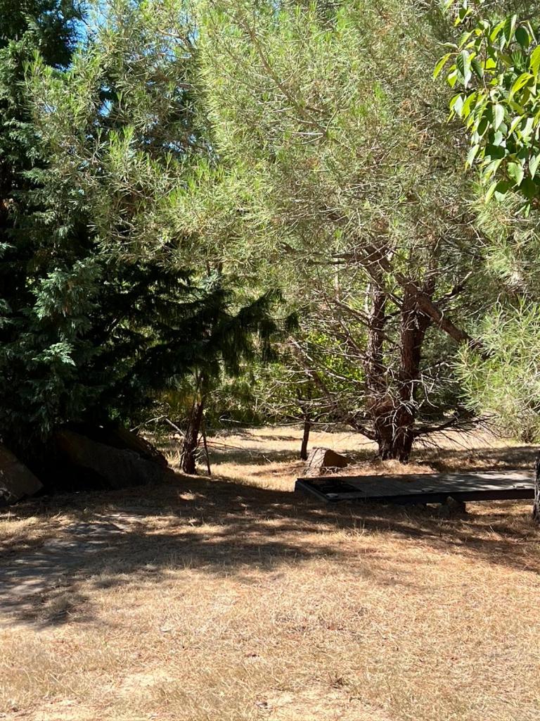 Photo 38