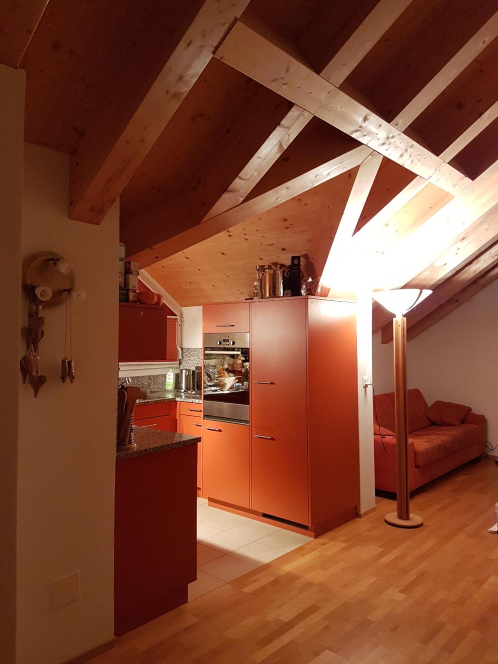 Stylish Penthouse Near Congress Center WEF