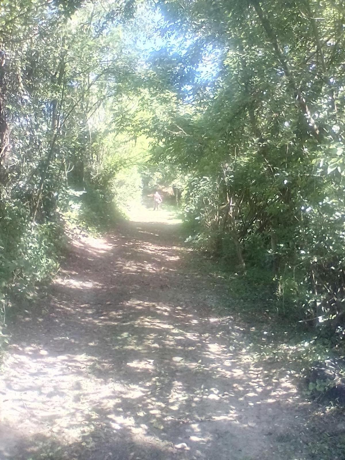 RANČ VOJNOVIĆ view 4