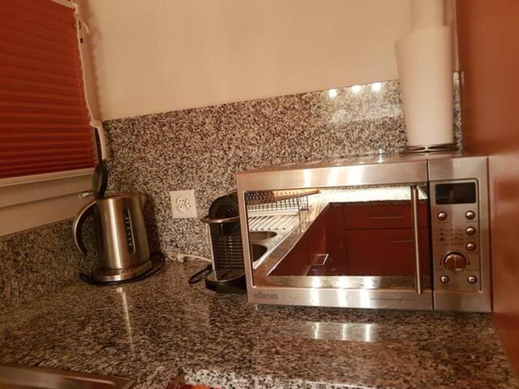 Stylish Penthouse Near Congress Center WEF