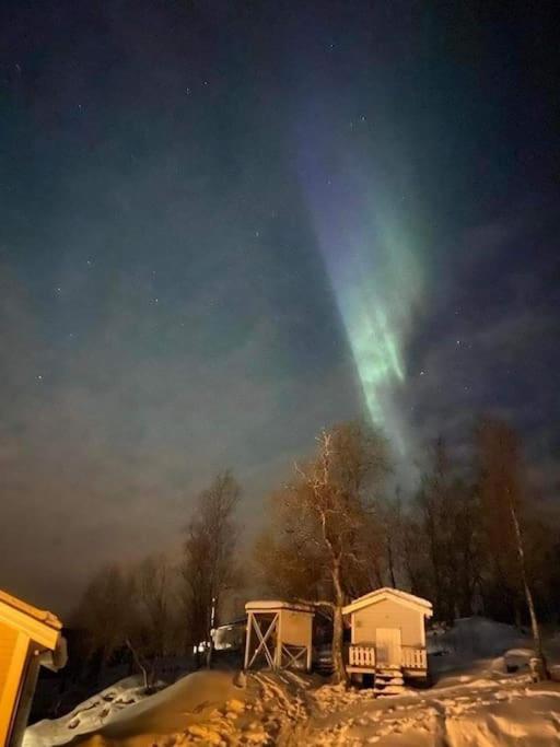 Arctic Comfort Senja
