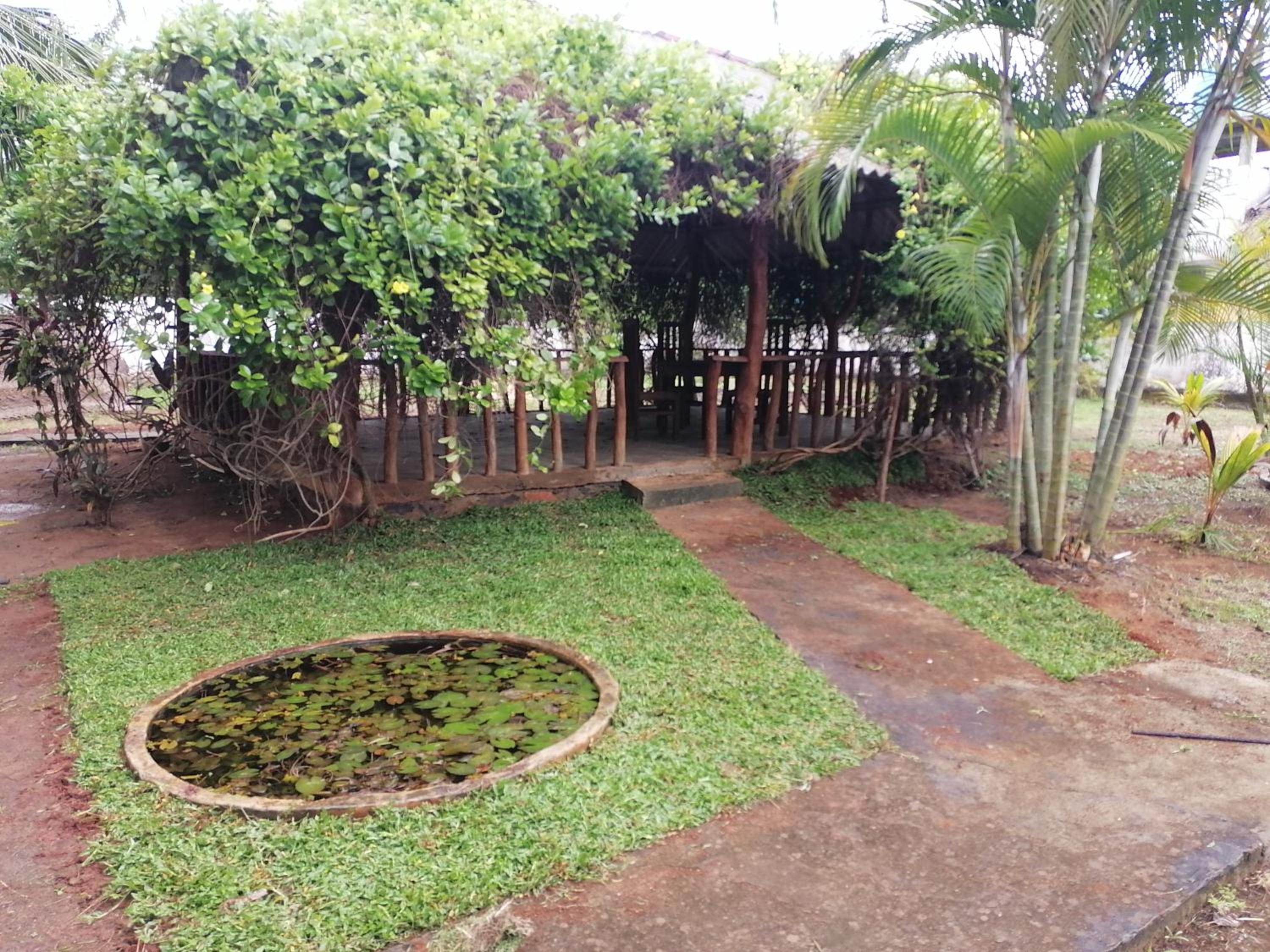 Mango terrace