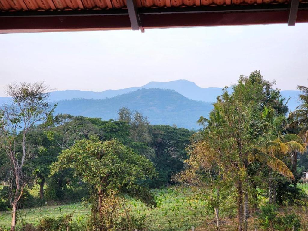Evergreen Shola View