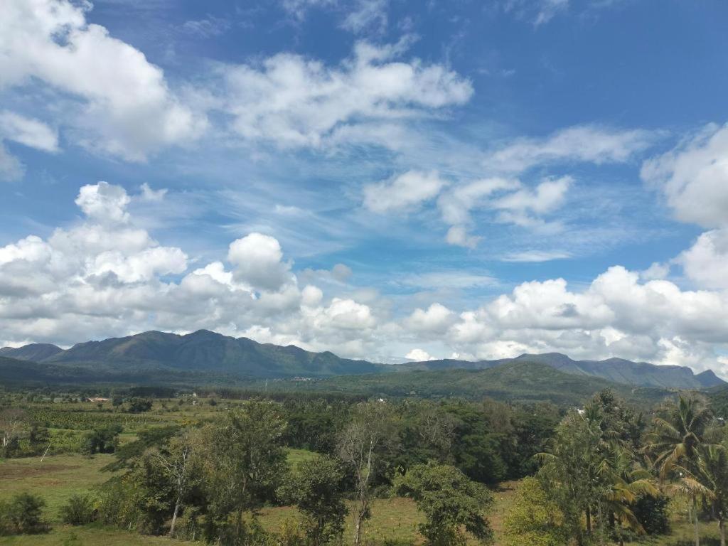 Evergreen Shola View