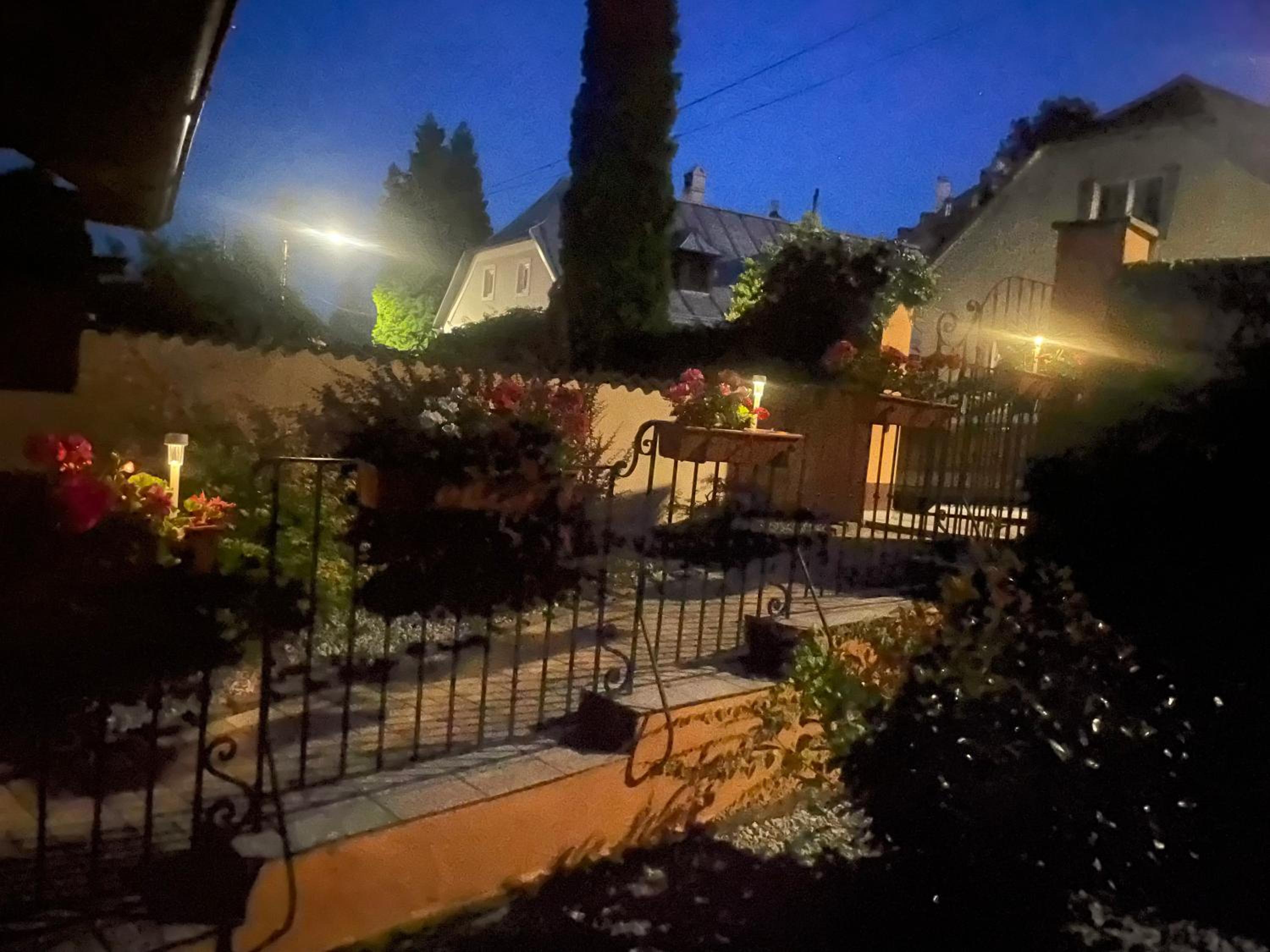 Photo 41