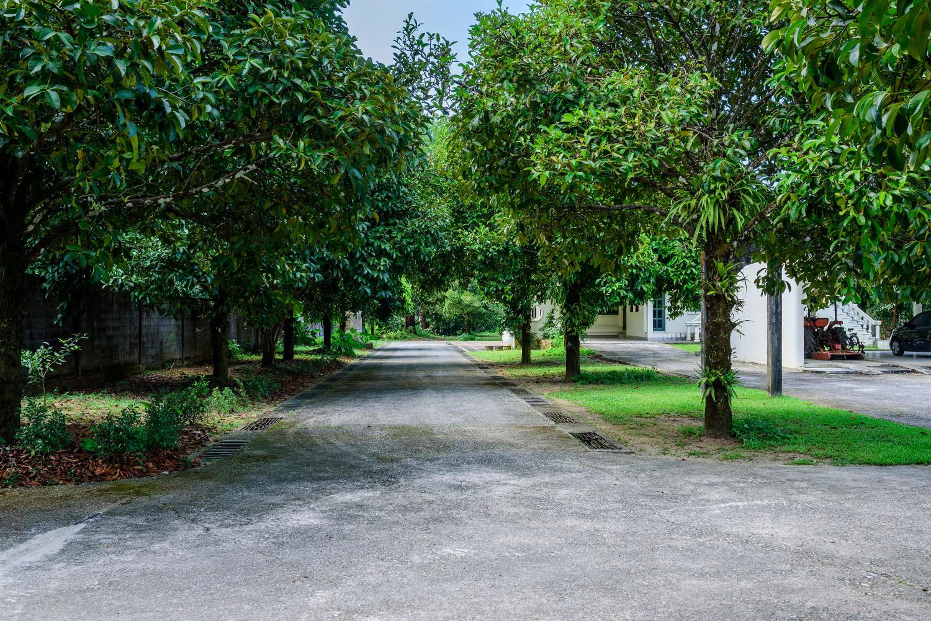 Bann Mangkud Khaolak