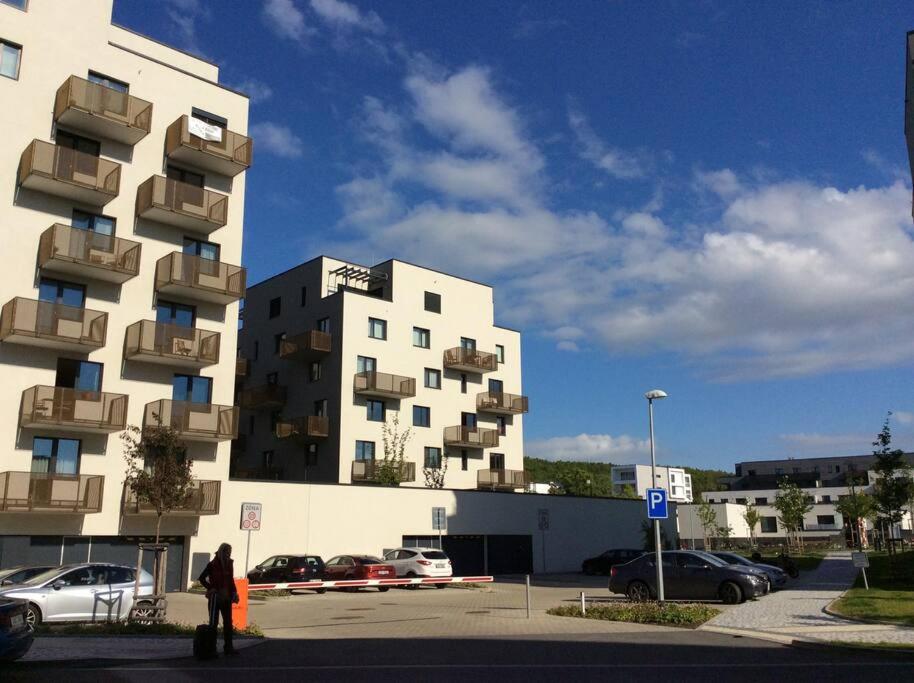 Appartment Waltrovka, free parking