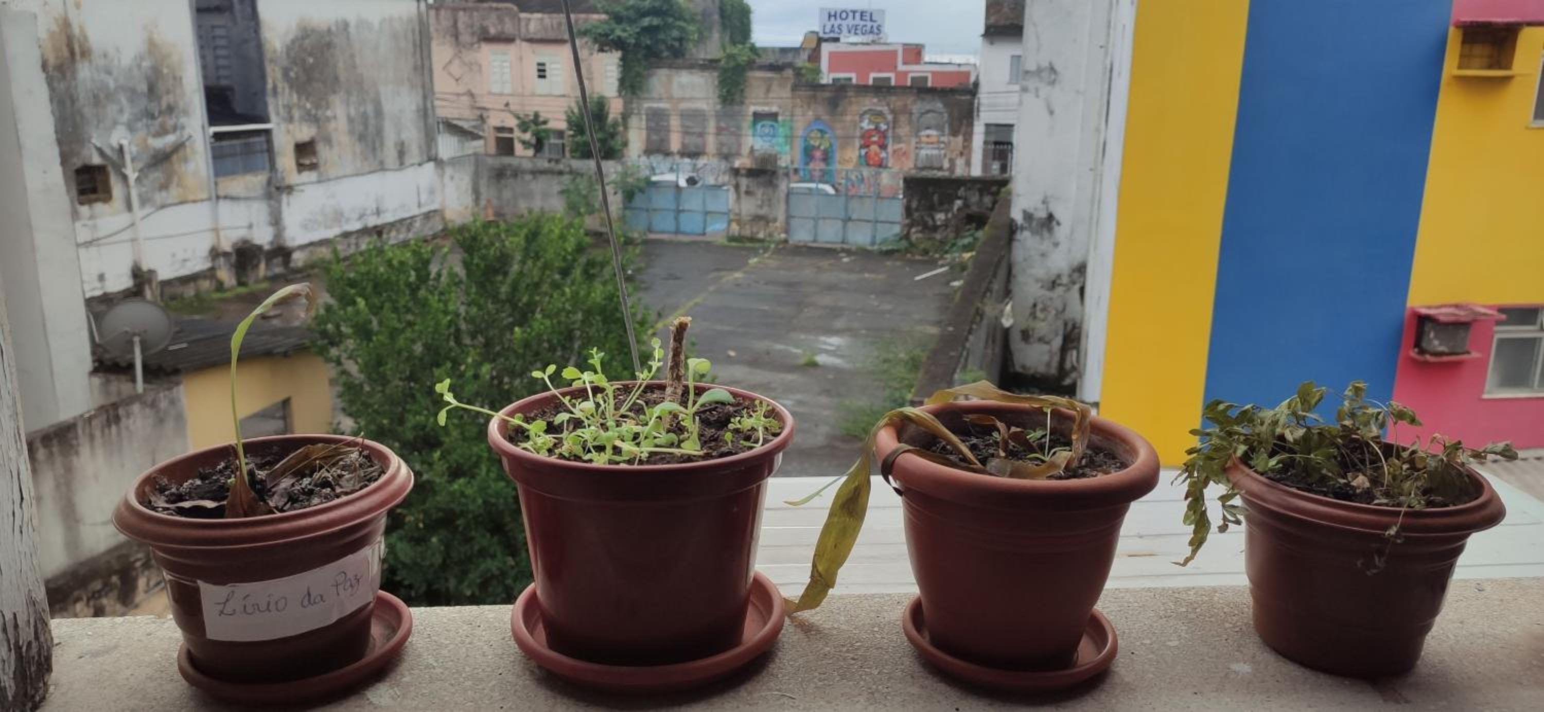Apt para carnaval em Salvador