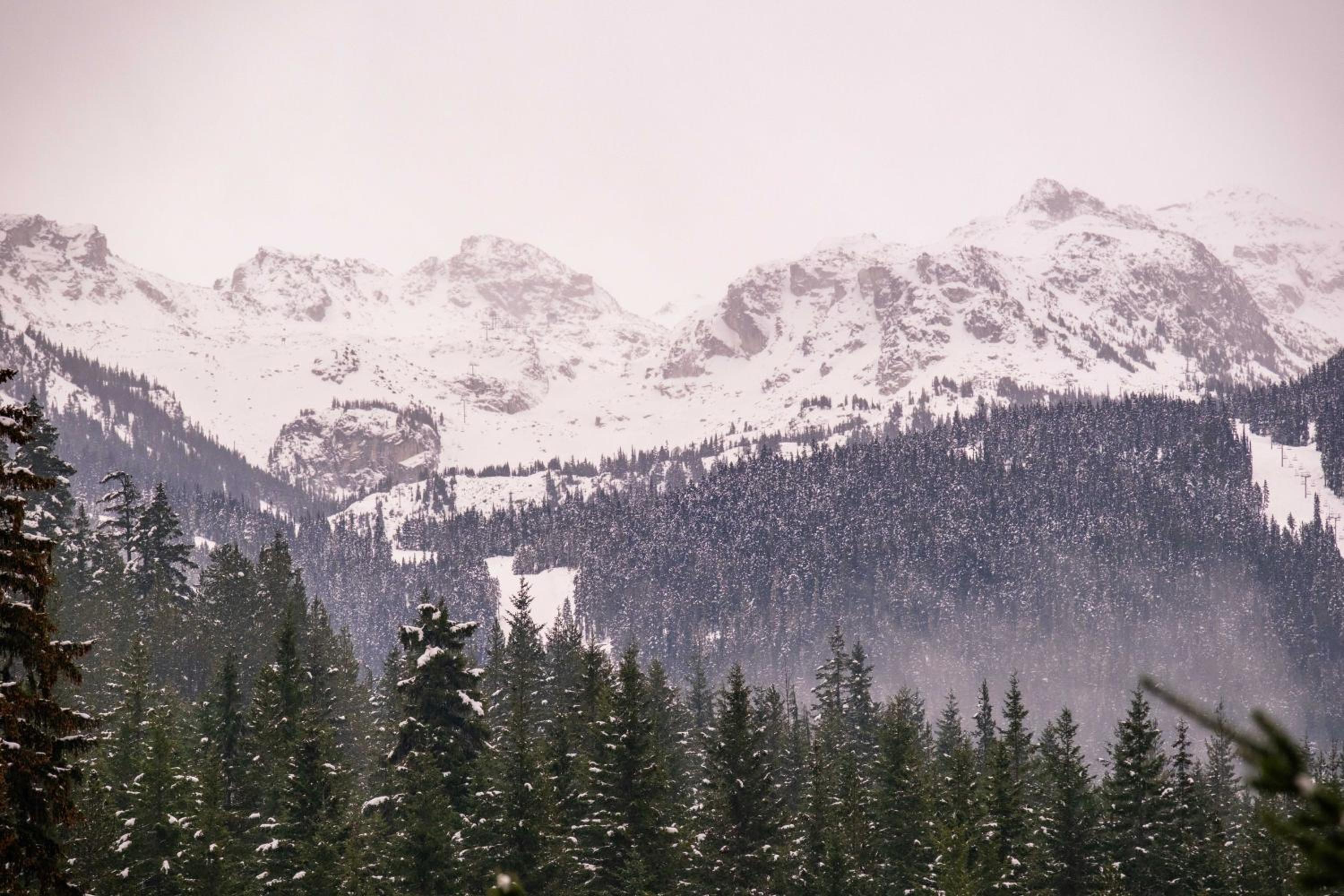 Spruce Grove Chalet by Outpost Whistler