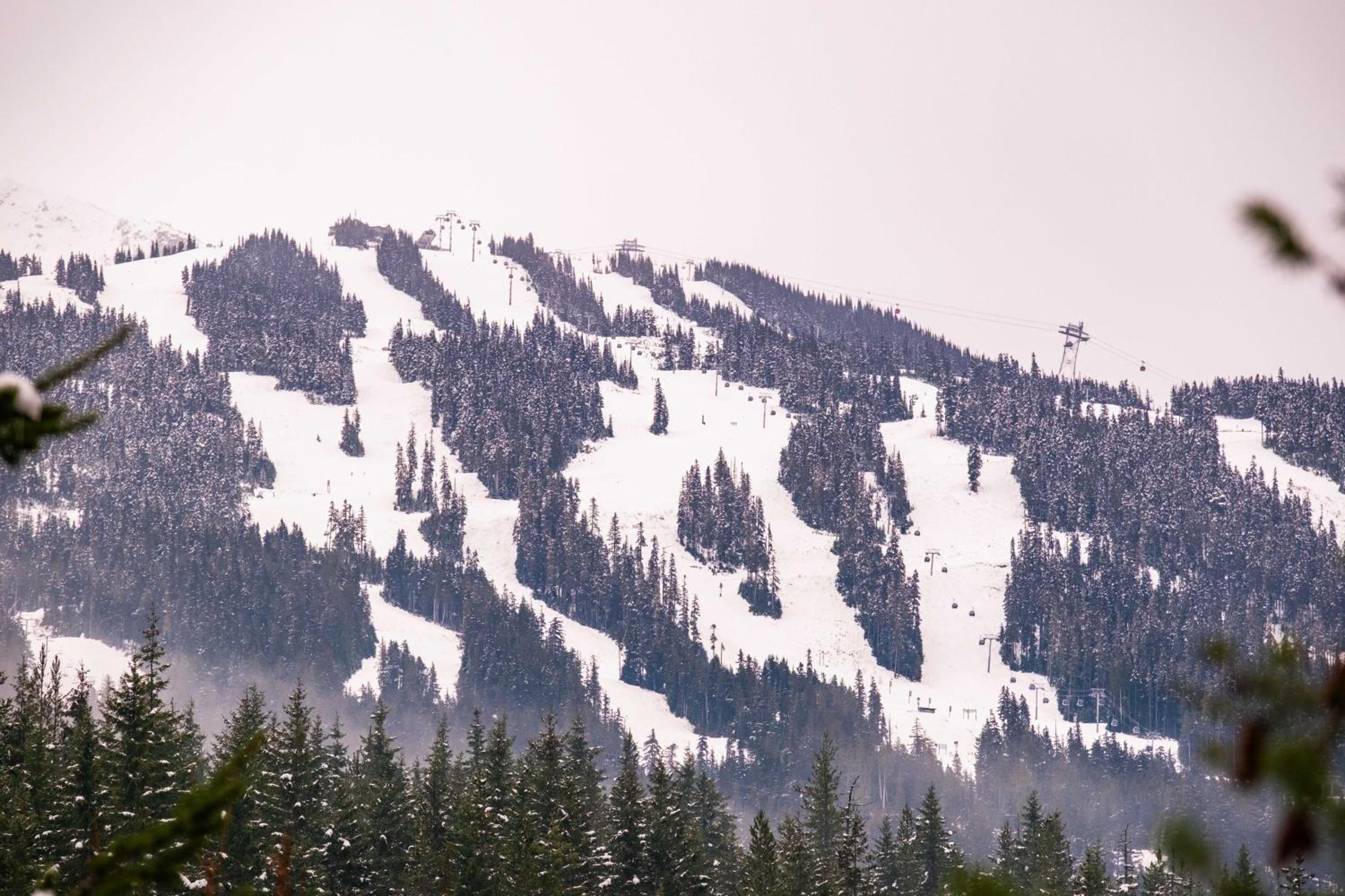 Spruce Grove Chalet by Outpost Whistler