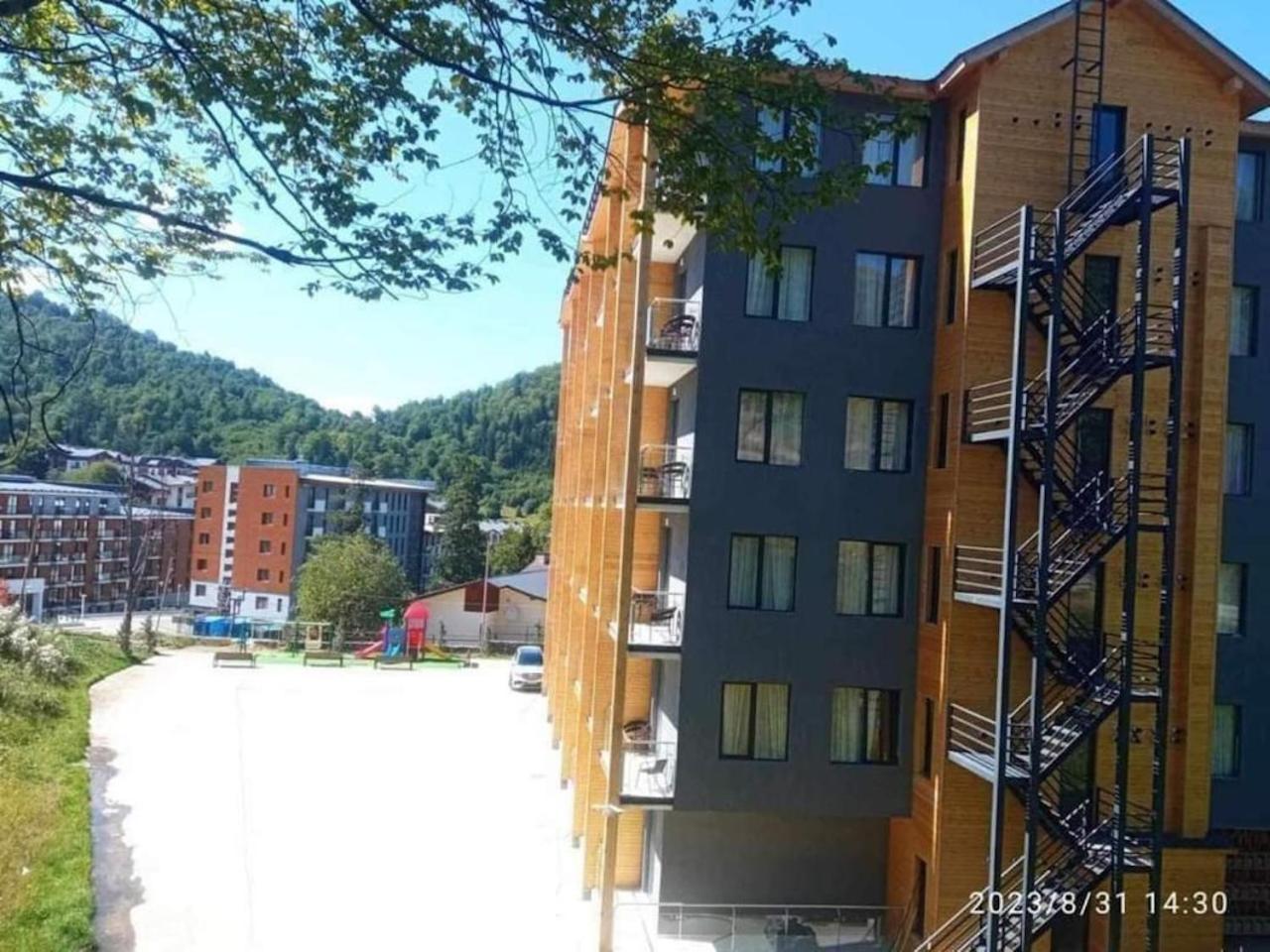 Crystal Wood Apartment 213 view 3