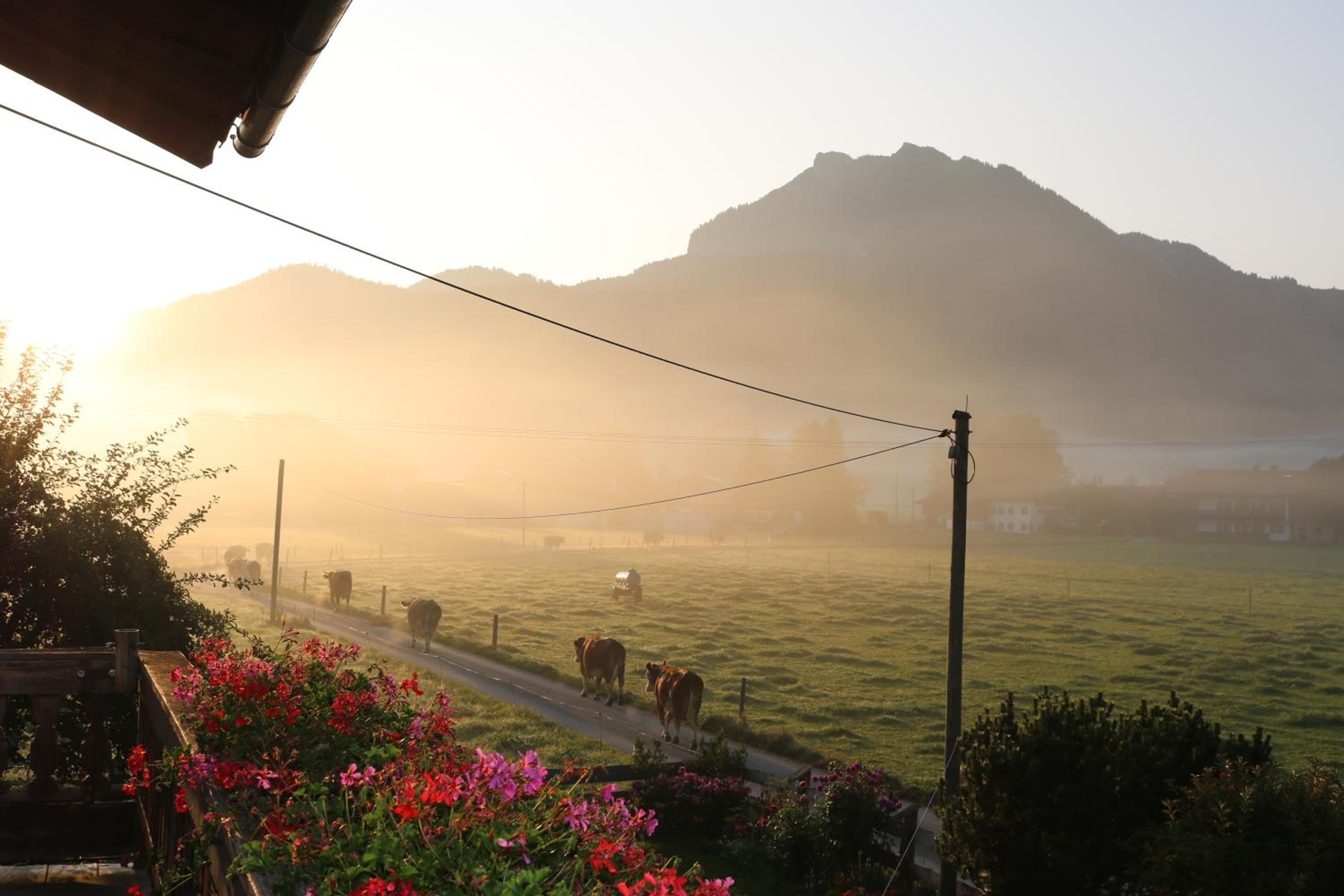 Schneiderhof Ferienwohnung mit Alpenblick
