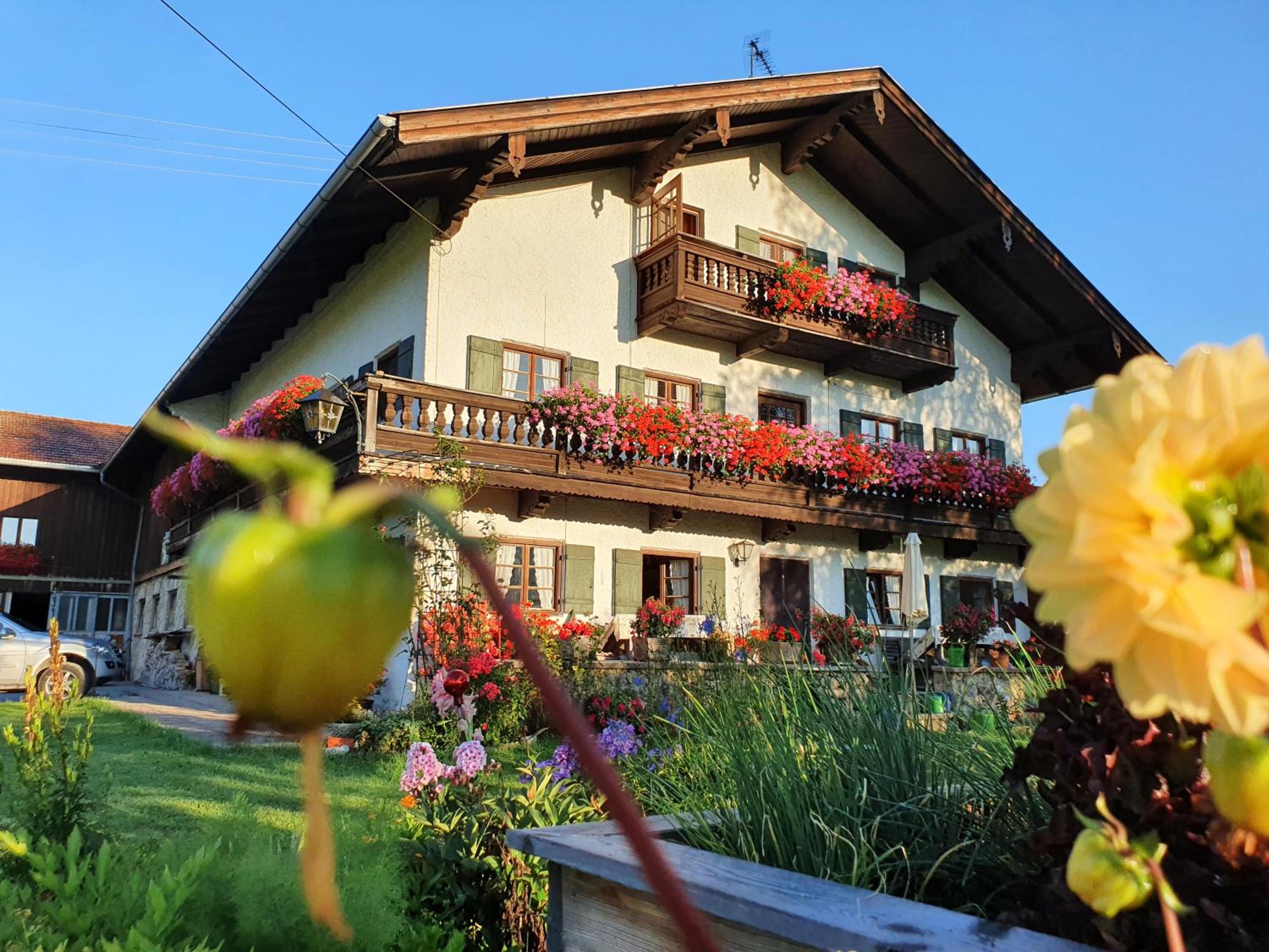 Schneiderhof Ferienwohnung mit Alpenblick