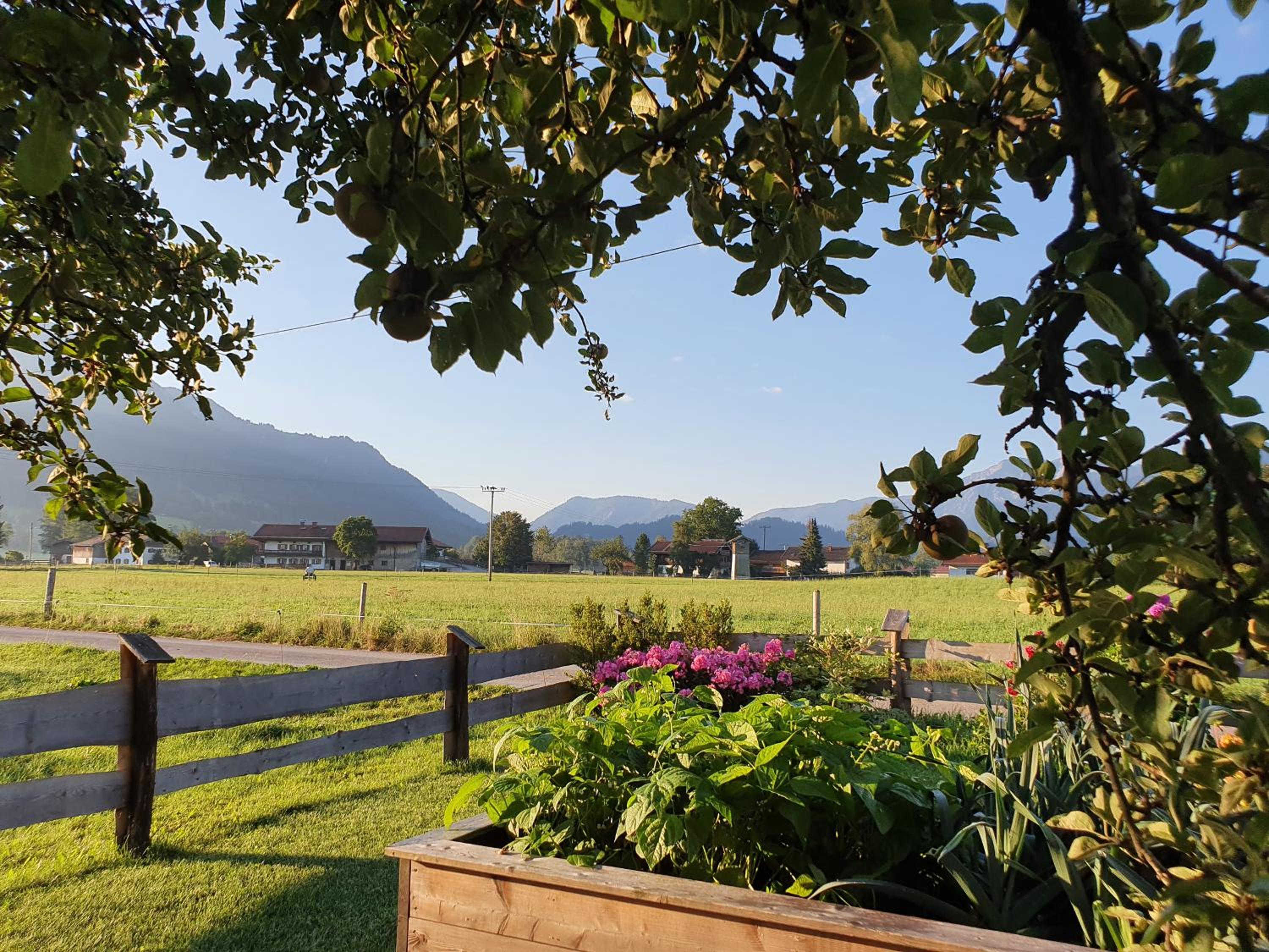 Schneiderhof Ferienwohnung mit Alpenblick