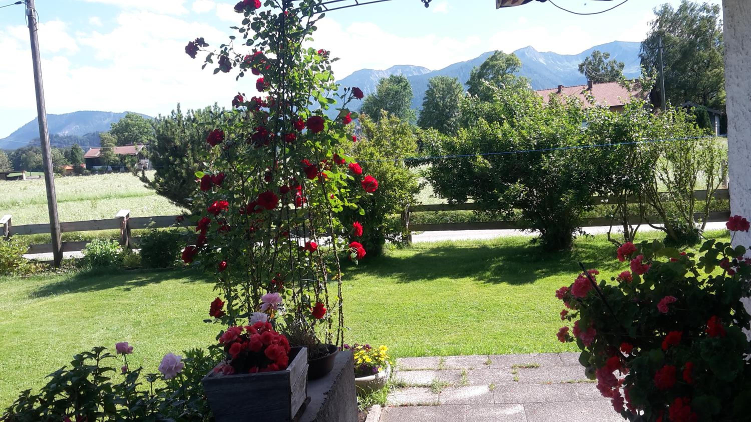 Schneiderhof Ferienwohnung mit Alpenblick