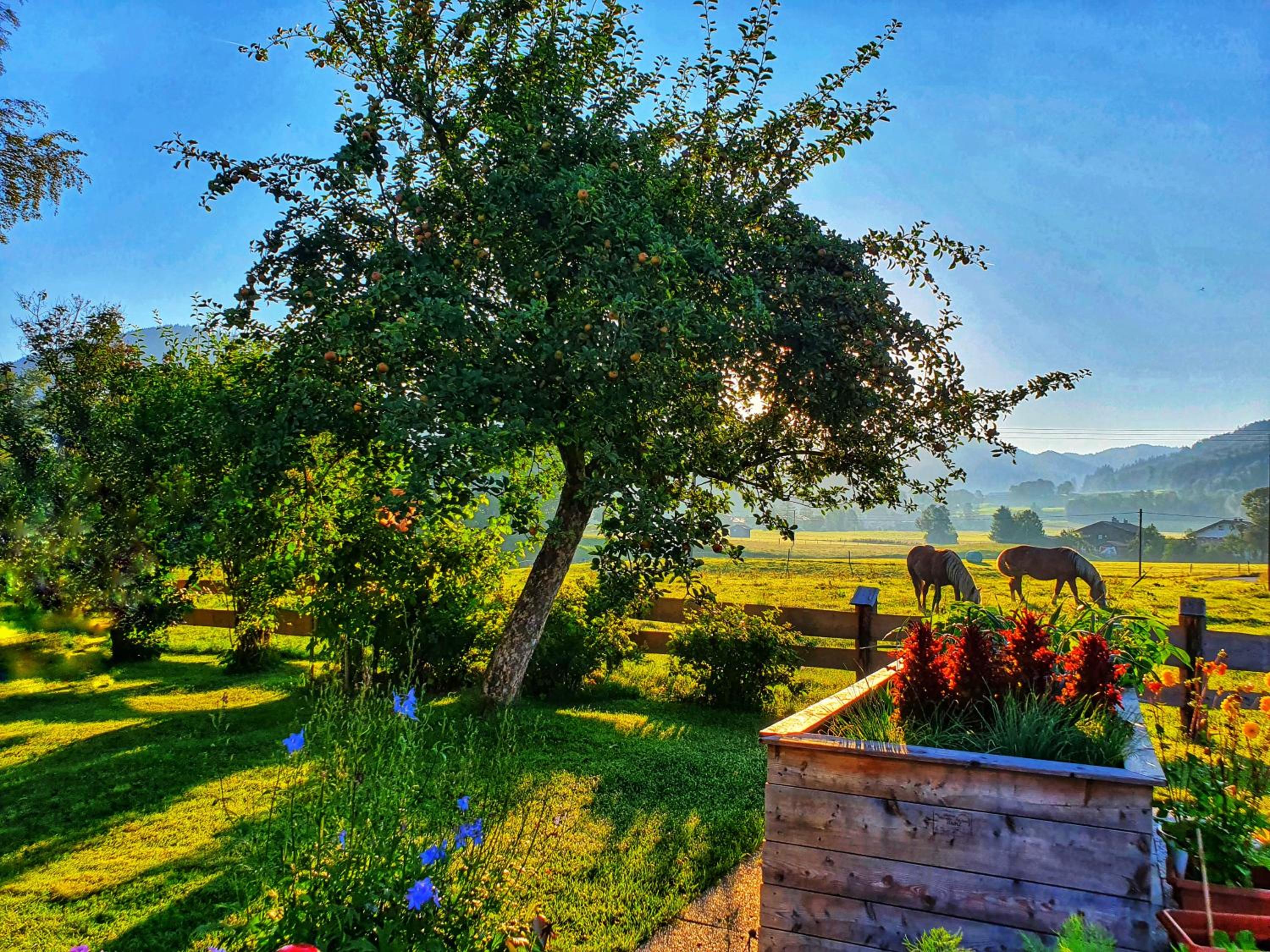 Schneiderhof Ferienwohnung mit Alpenblick