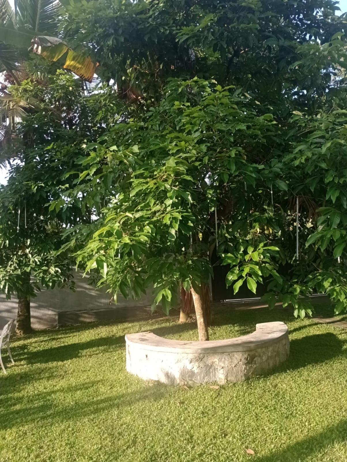 Photo 18