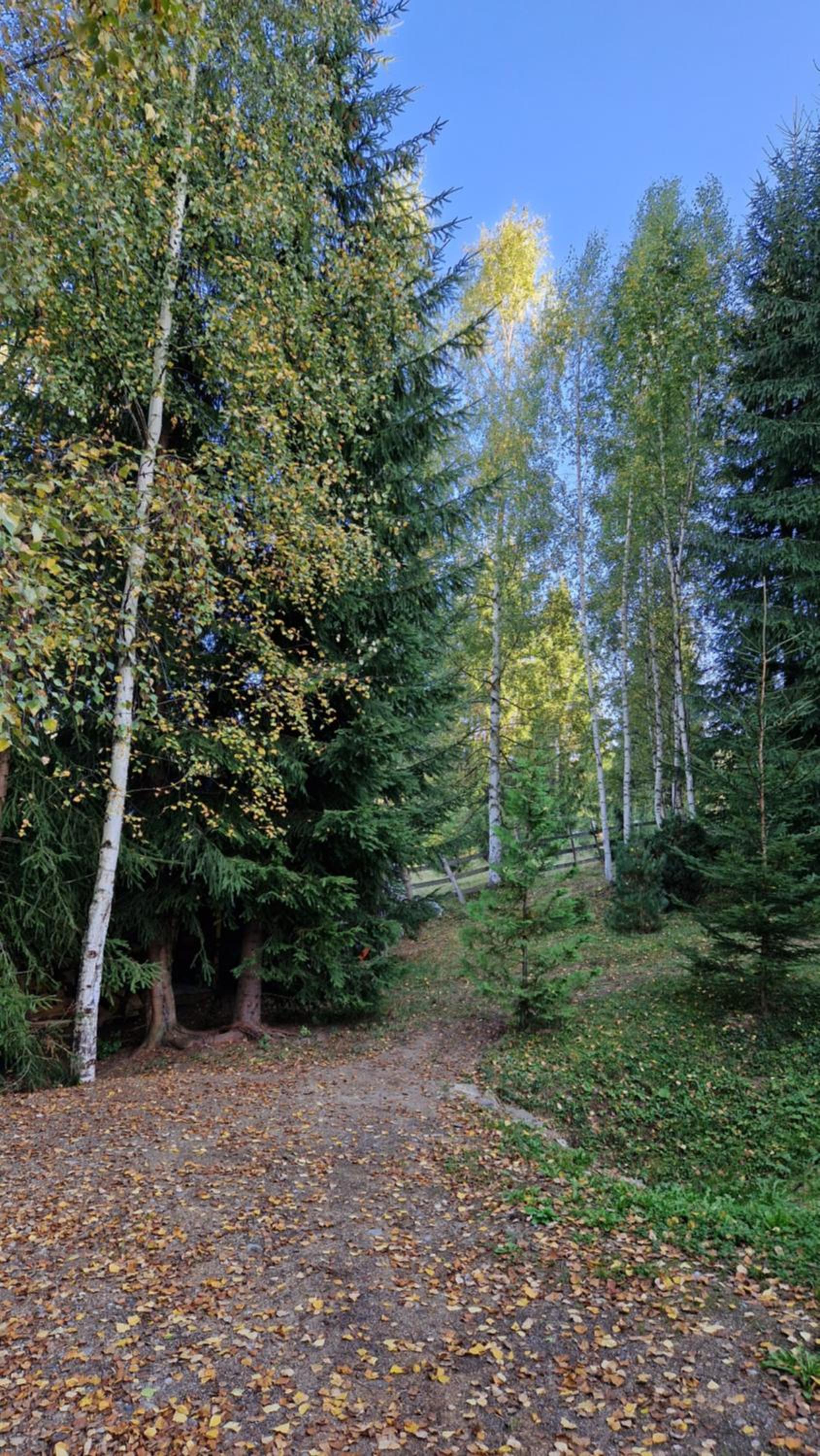 Photo 76