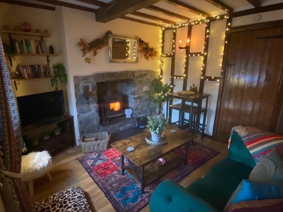 Maytree Cottage. Compact home in Mid Wales. view 5