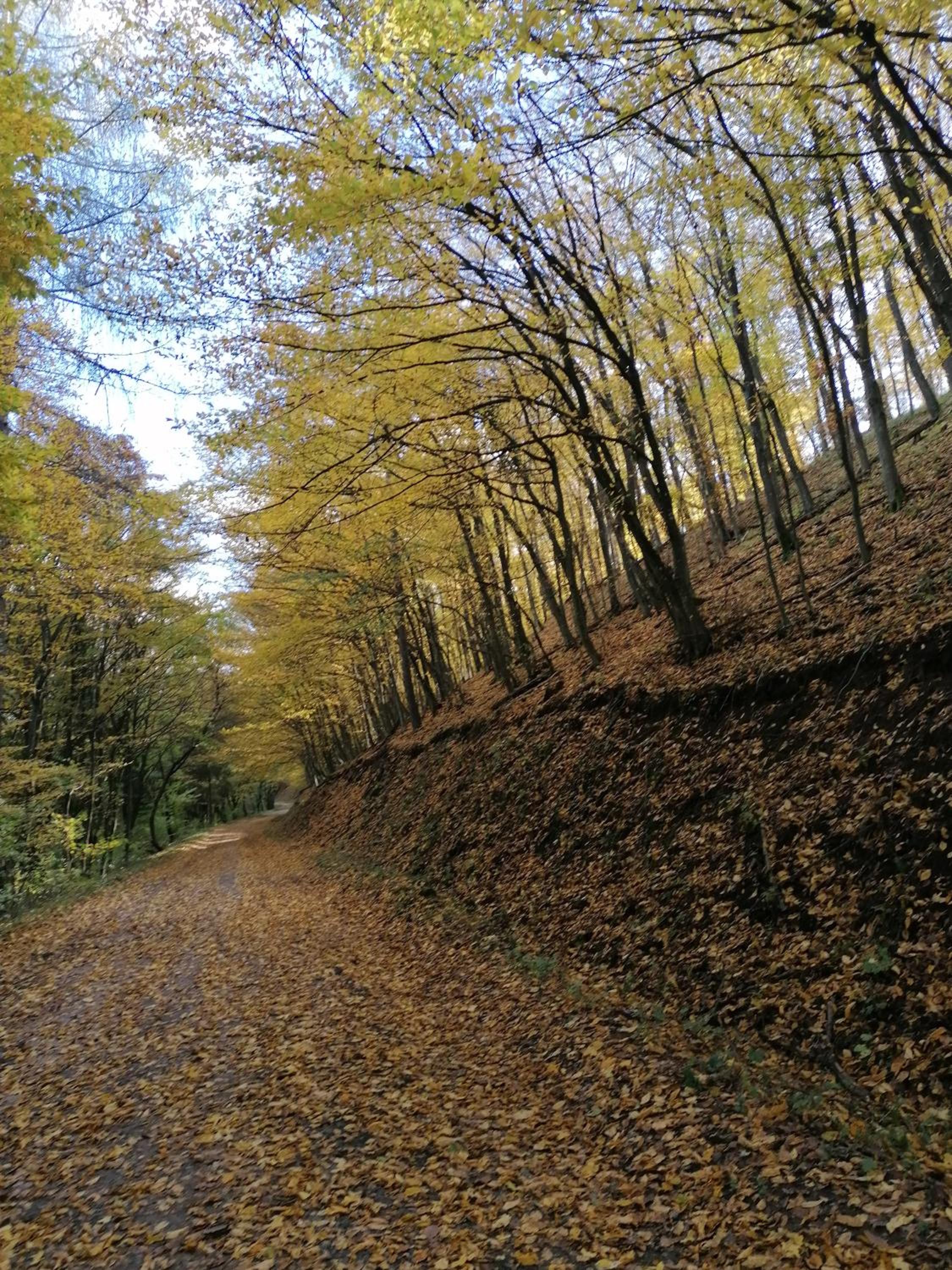 Tölgyes - völgy Vendégház view 2