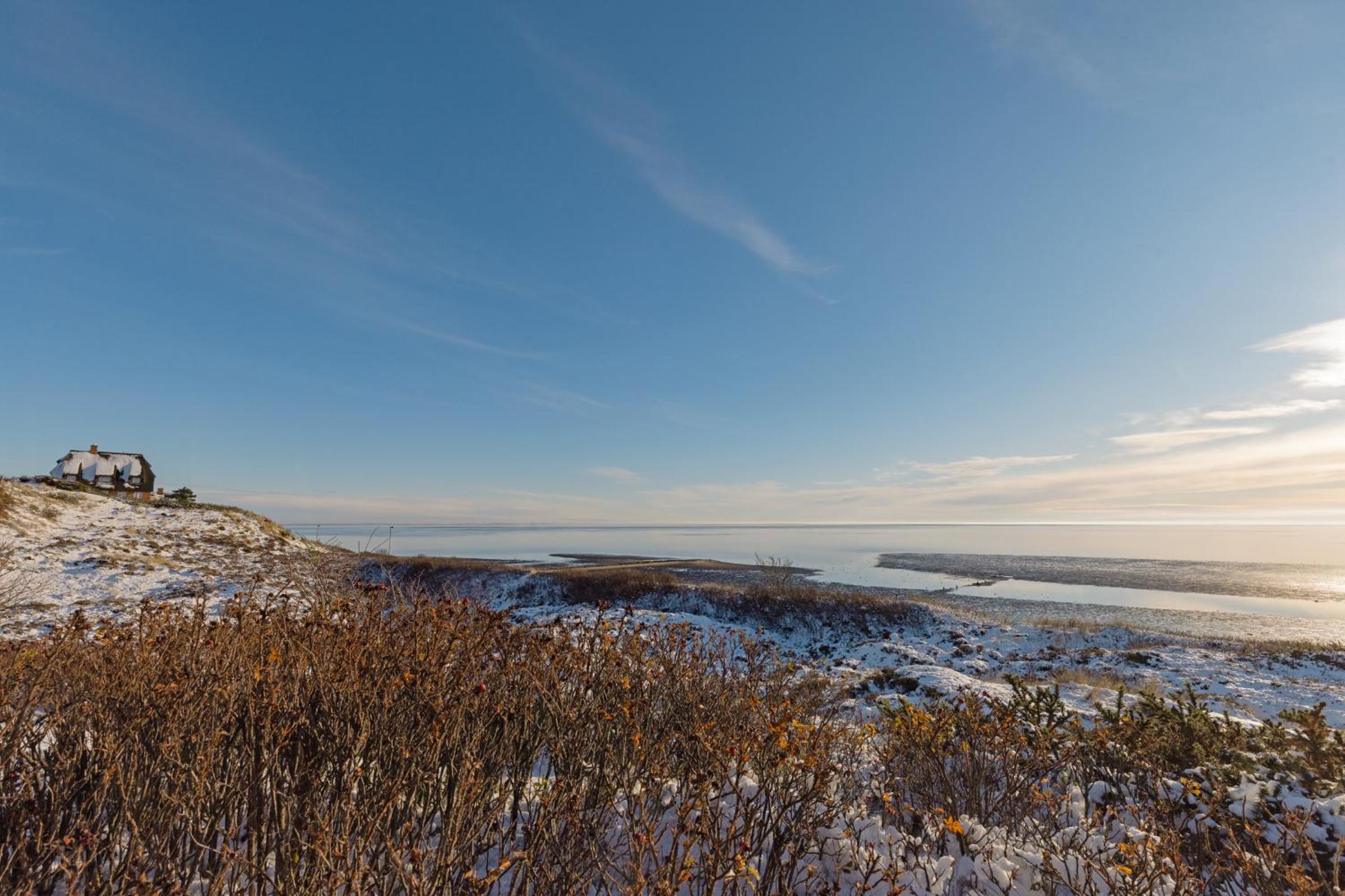 Erika