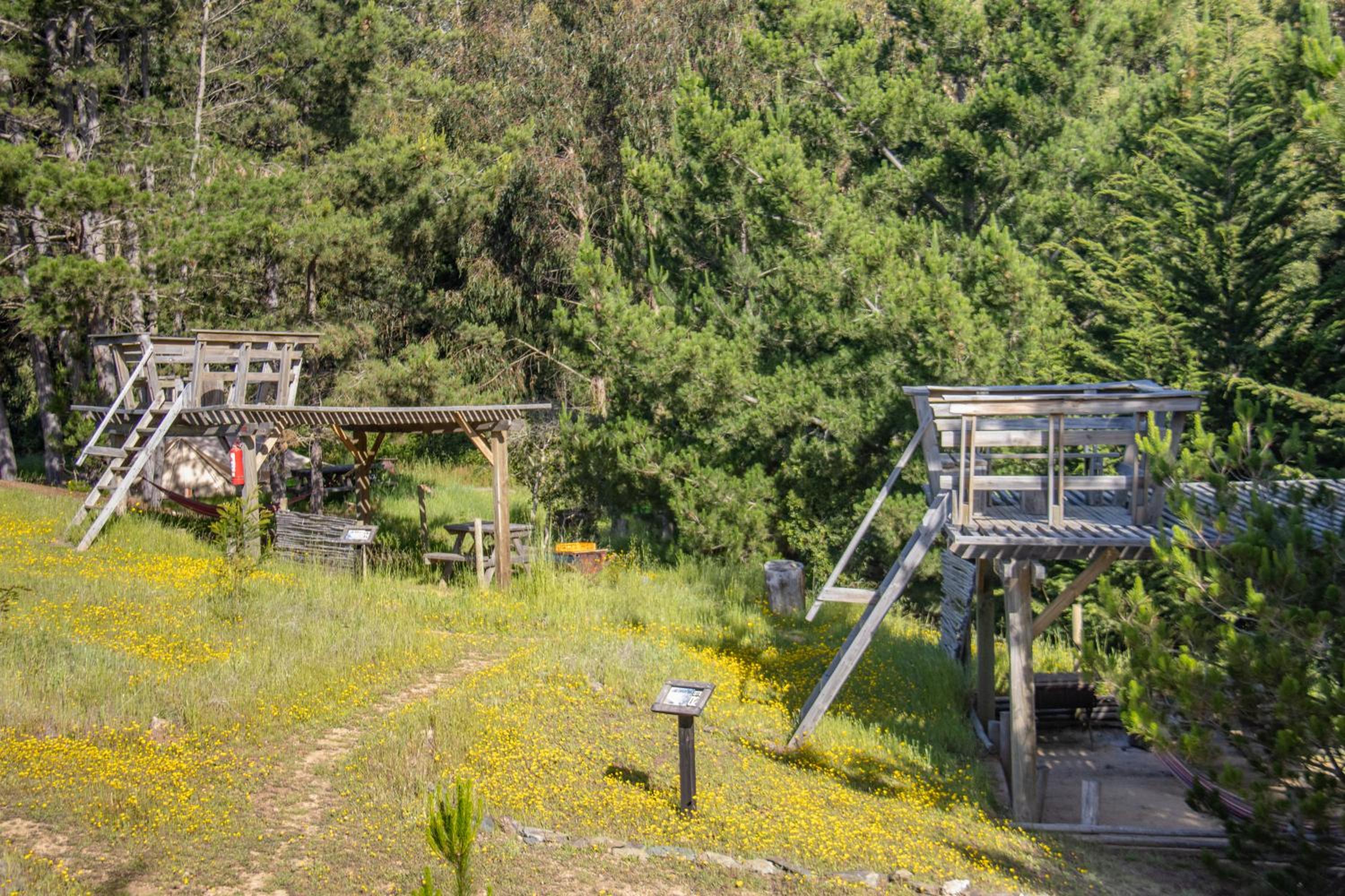 Olas de Chile Ecocamp