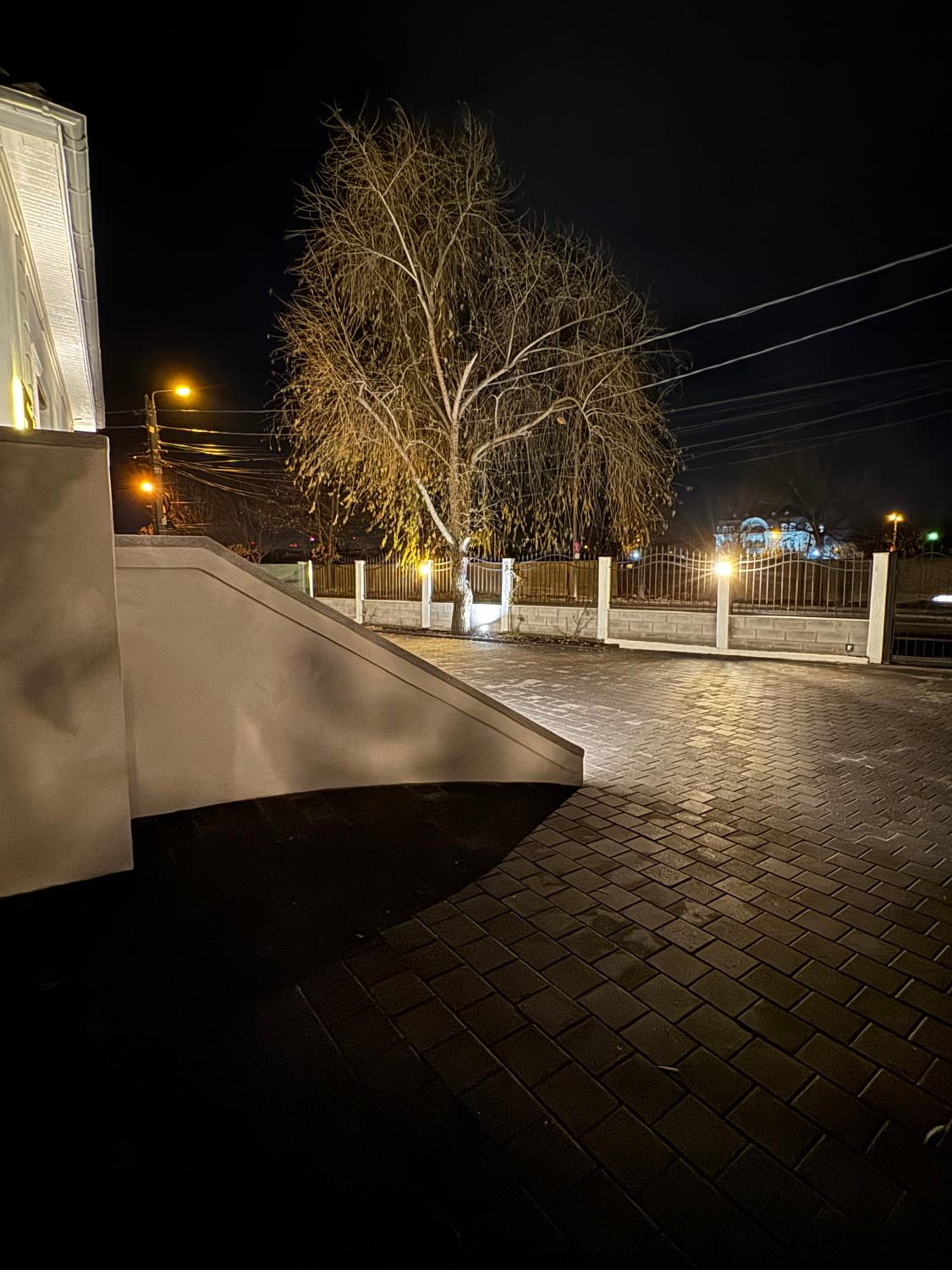Photo 46