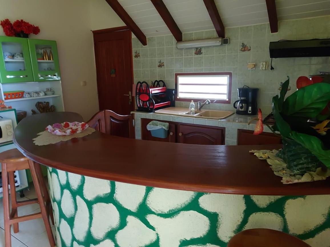 appartement les hibiscus