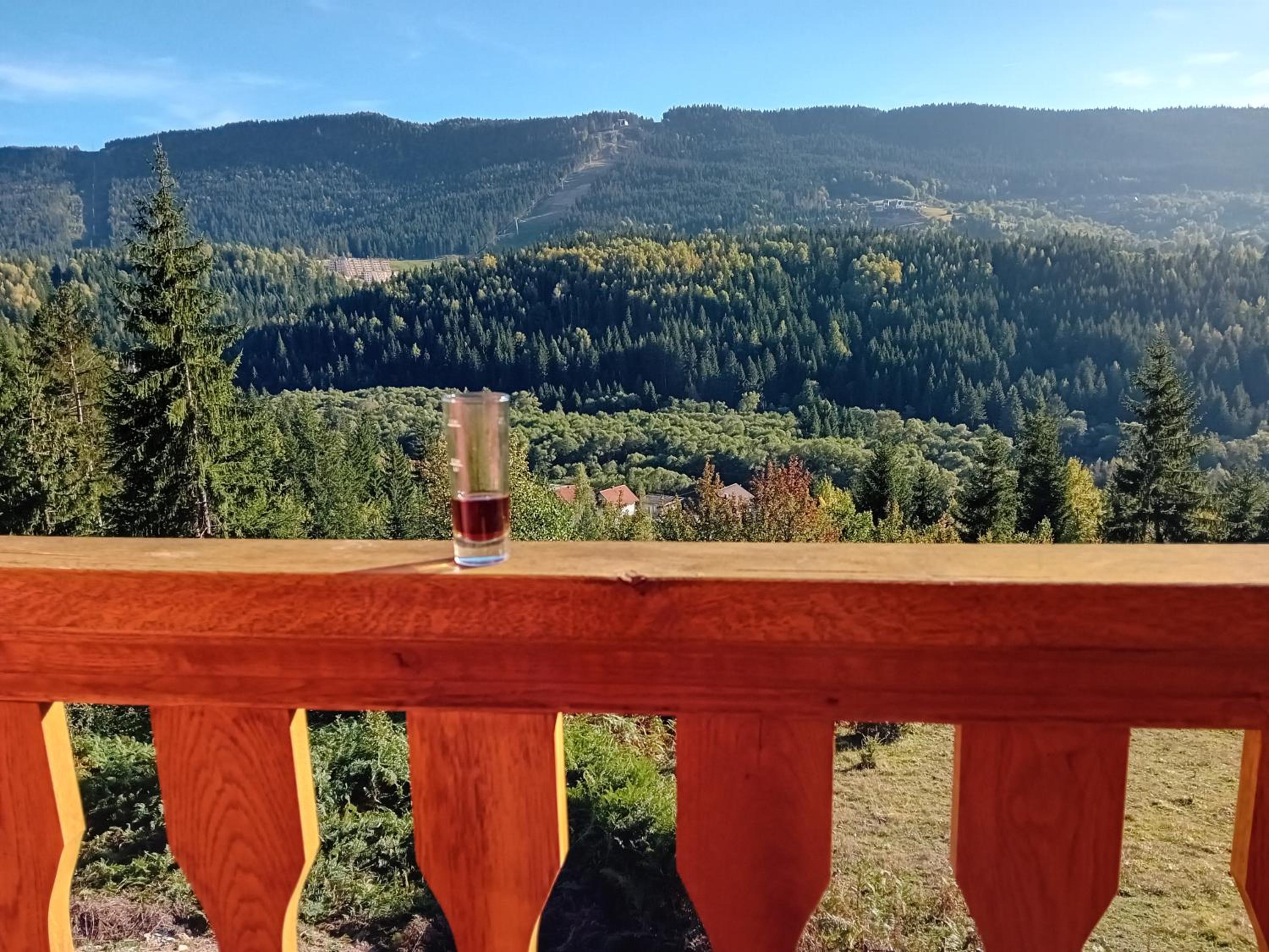 Apartmani Kamini RAVNA PLANINA