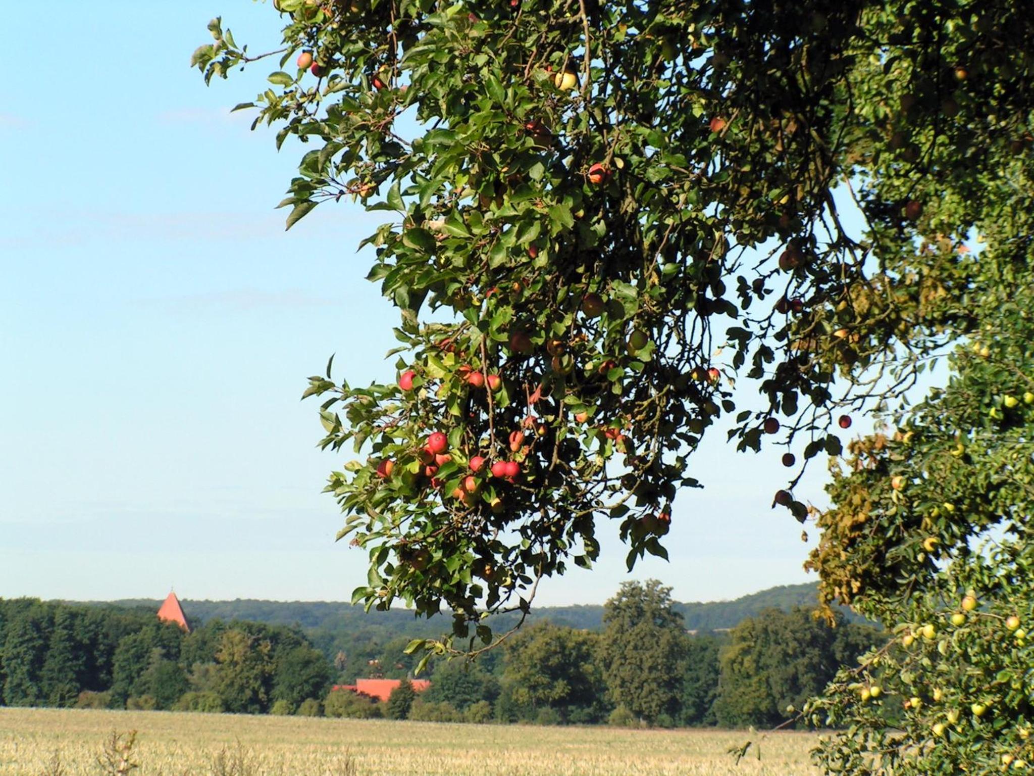 Hof Sorgenlos