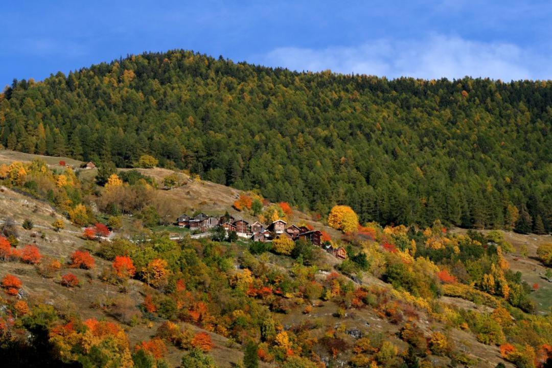 Cosy studio for 4 near ski lift, MELEZES K22