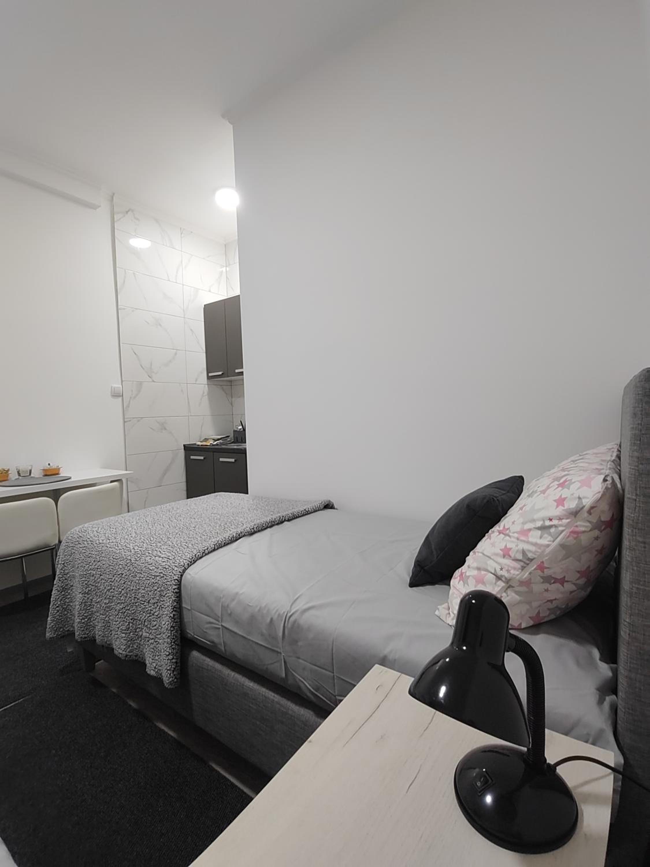 Apartman Centar Ivanjica view 5