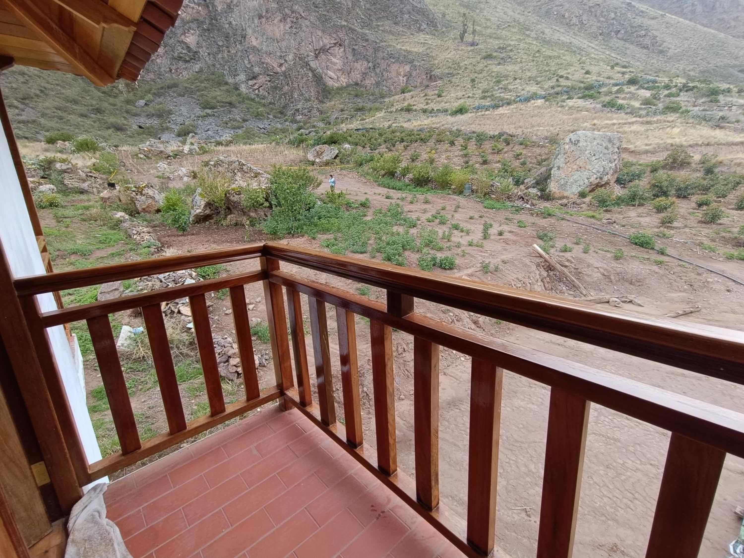 casa flores view 4