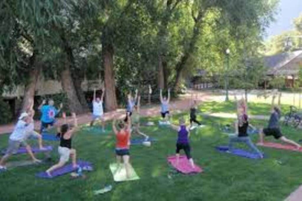 activities & amenities