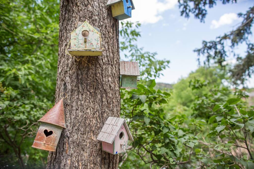The Nest Cottage with Hot Tub in Downtown Manitou Springs