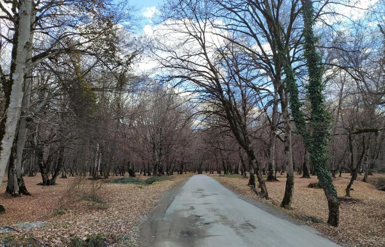 Buynuz Village