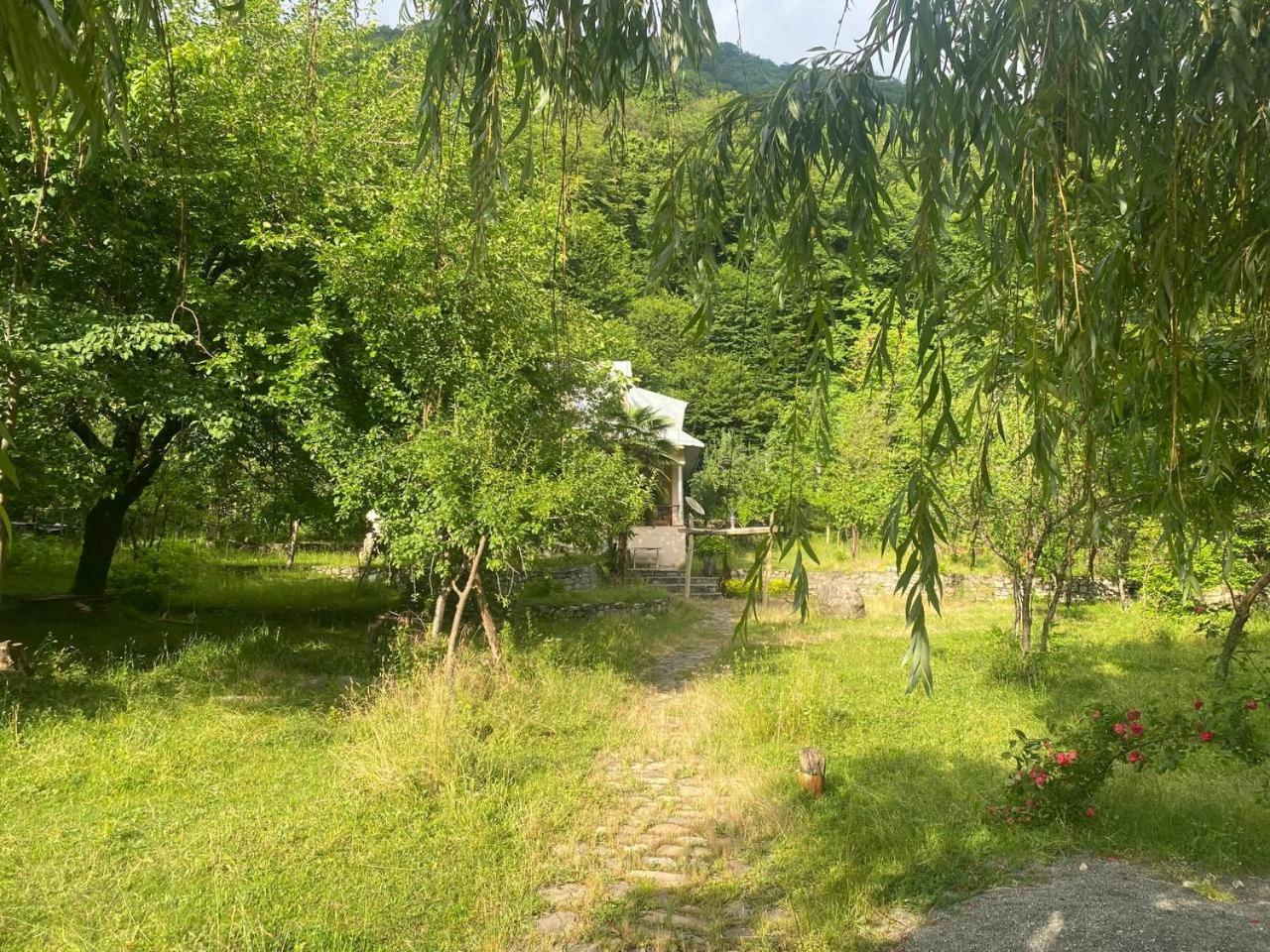 Buynuz Village