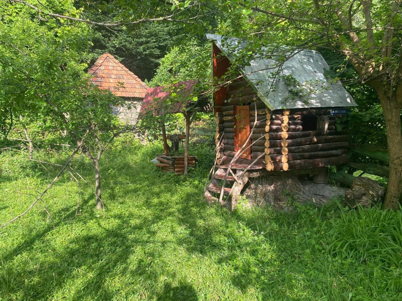 Buynuz Village