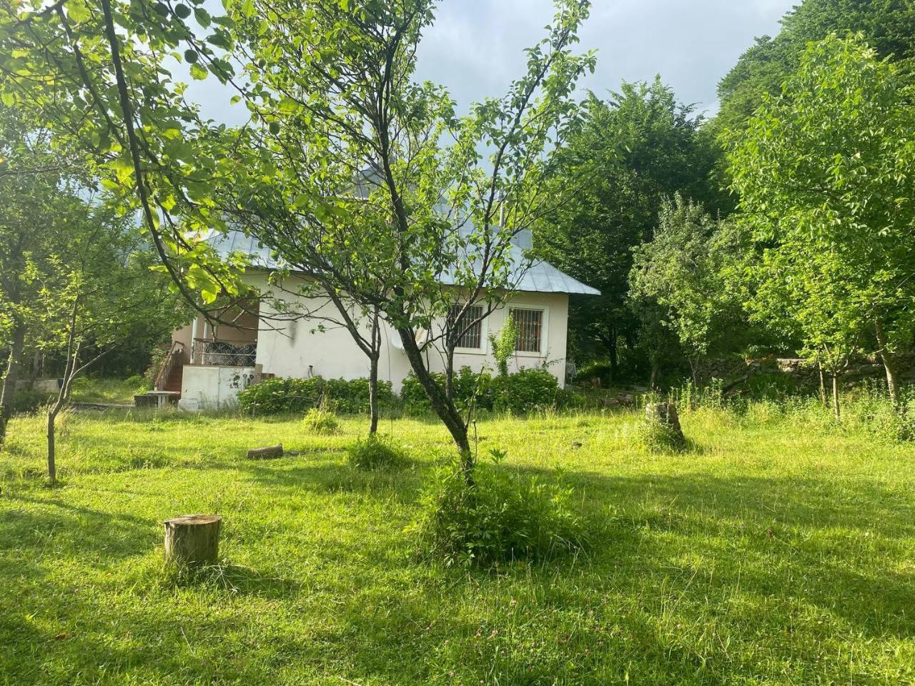 Buynuz Village