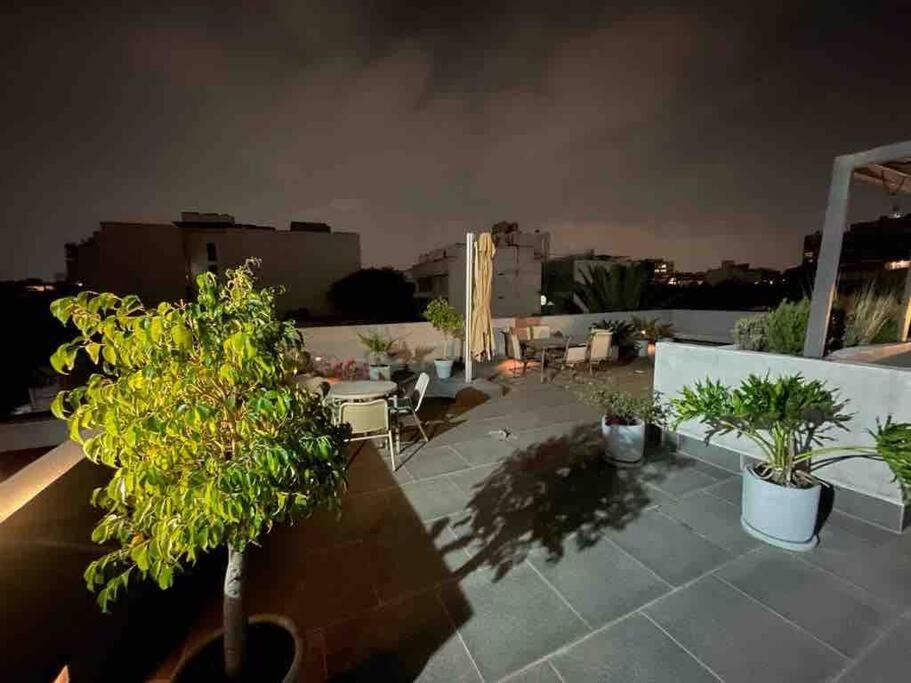Urban Life Condesa Apartment photo 5