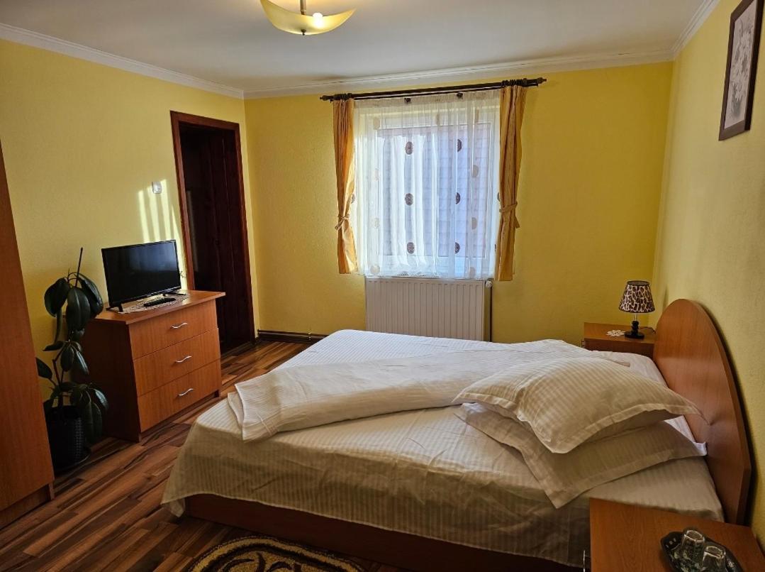 Vila Vlăduț