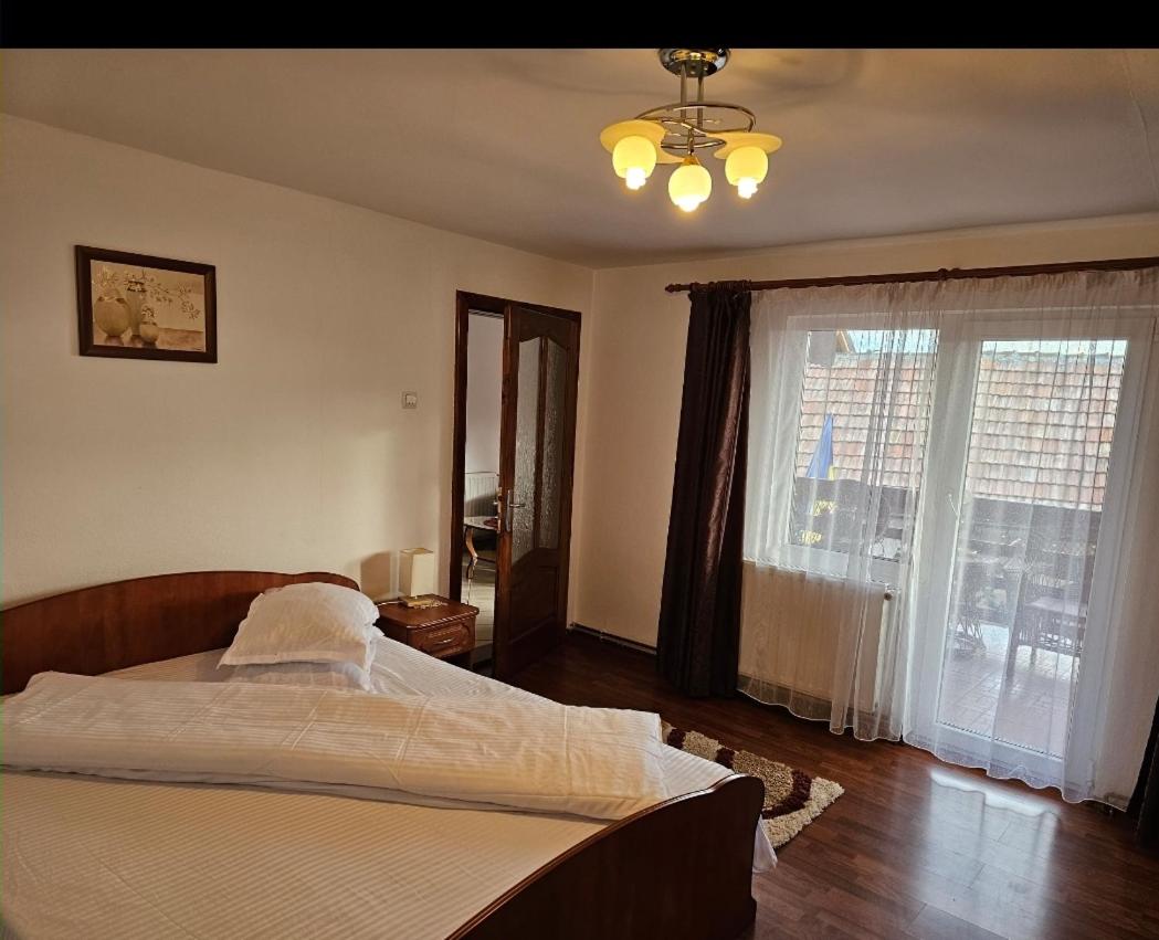 Vila Vlăduț