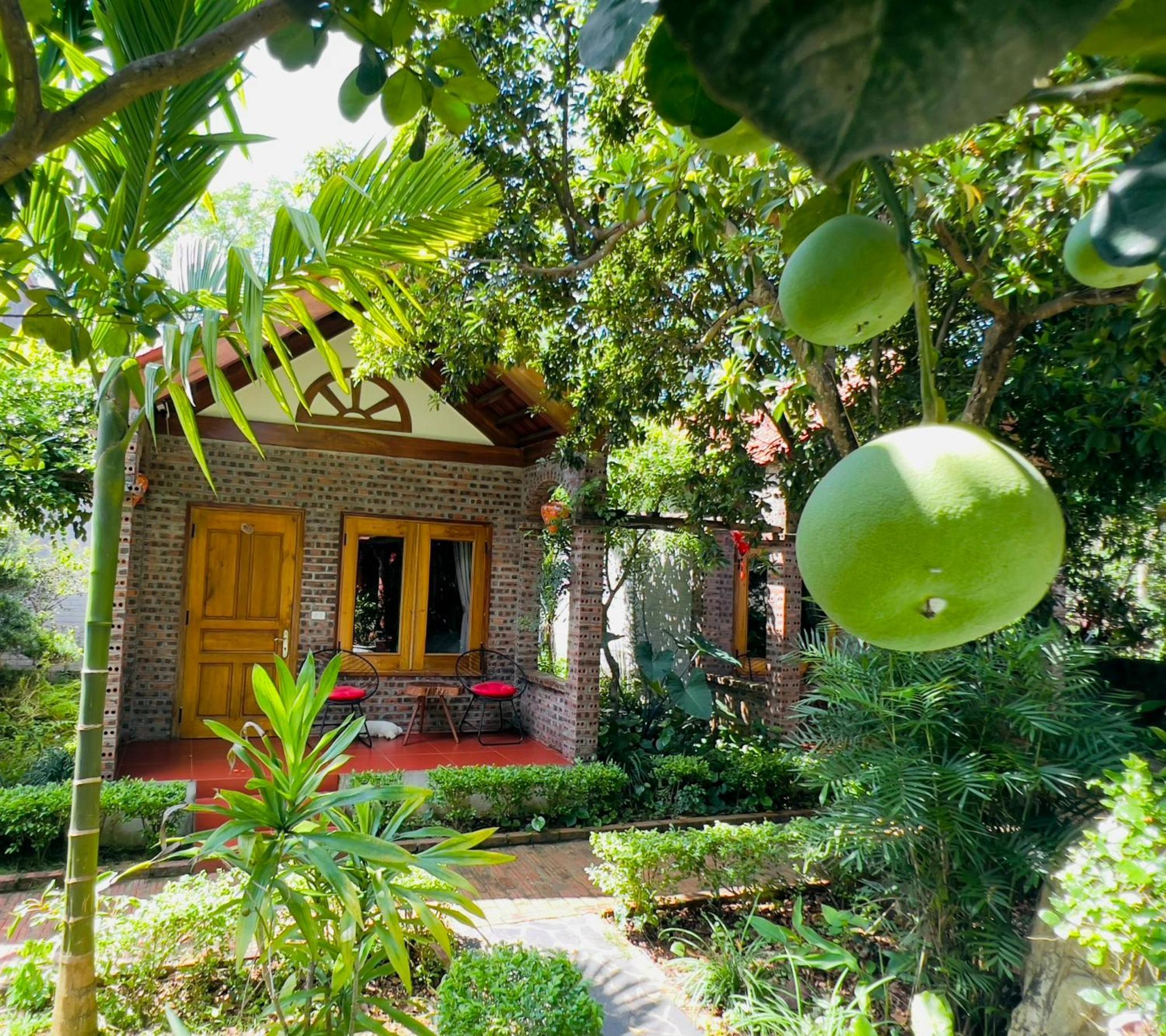 Ninh Binh Family Homestay