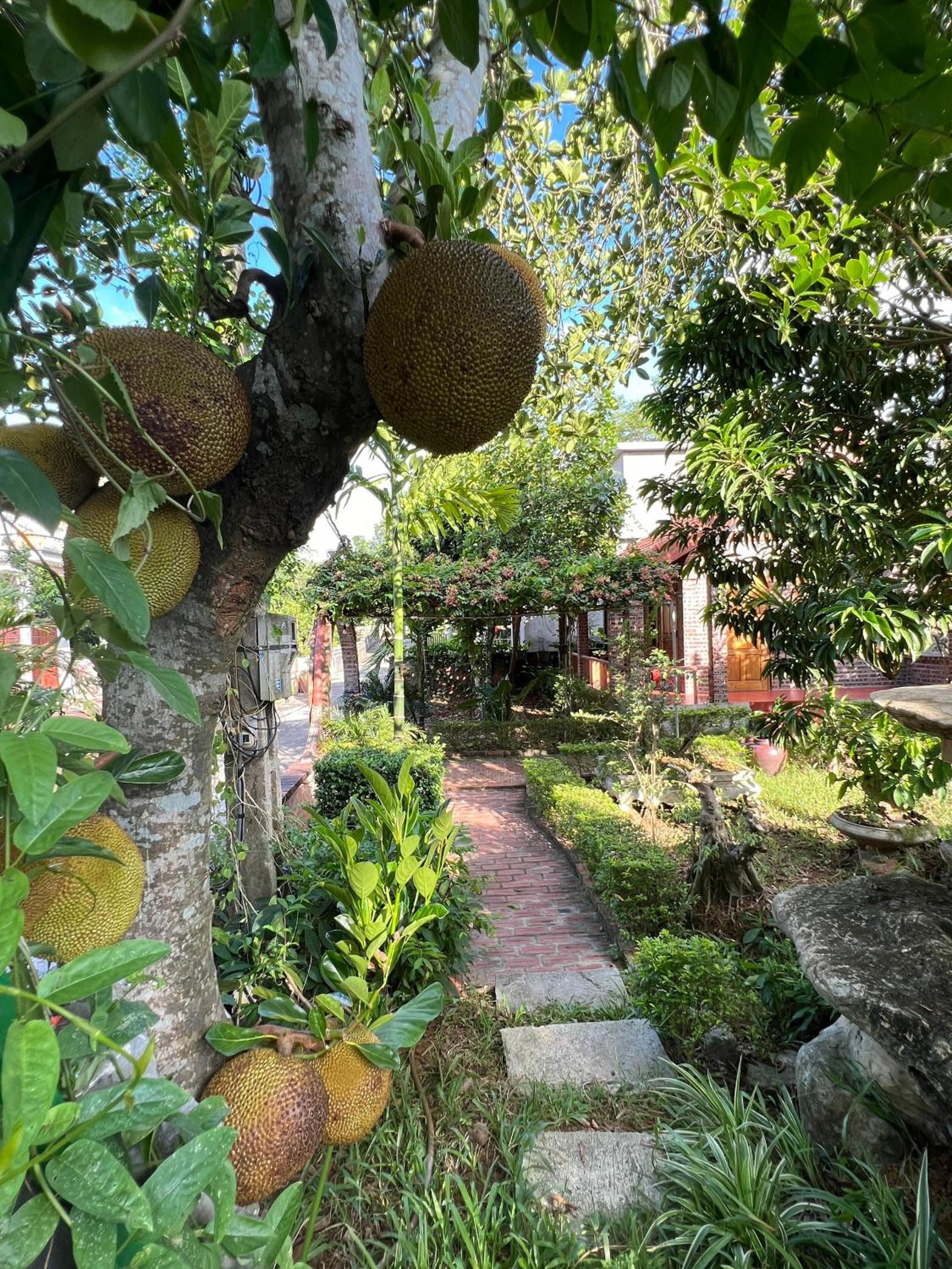 Ninh Binh Family Homestay