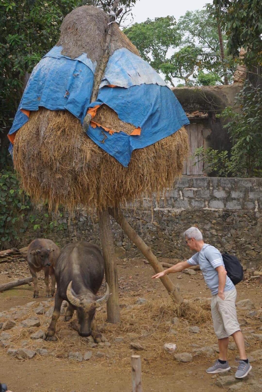 Ninh Binh Family Homestay