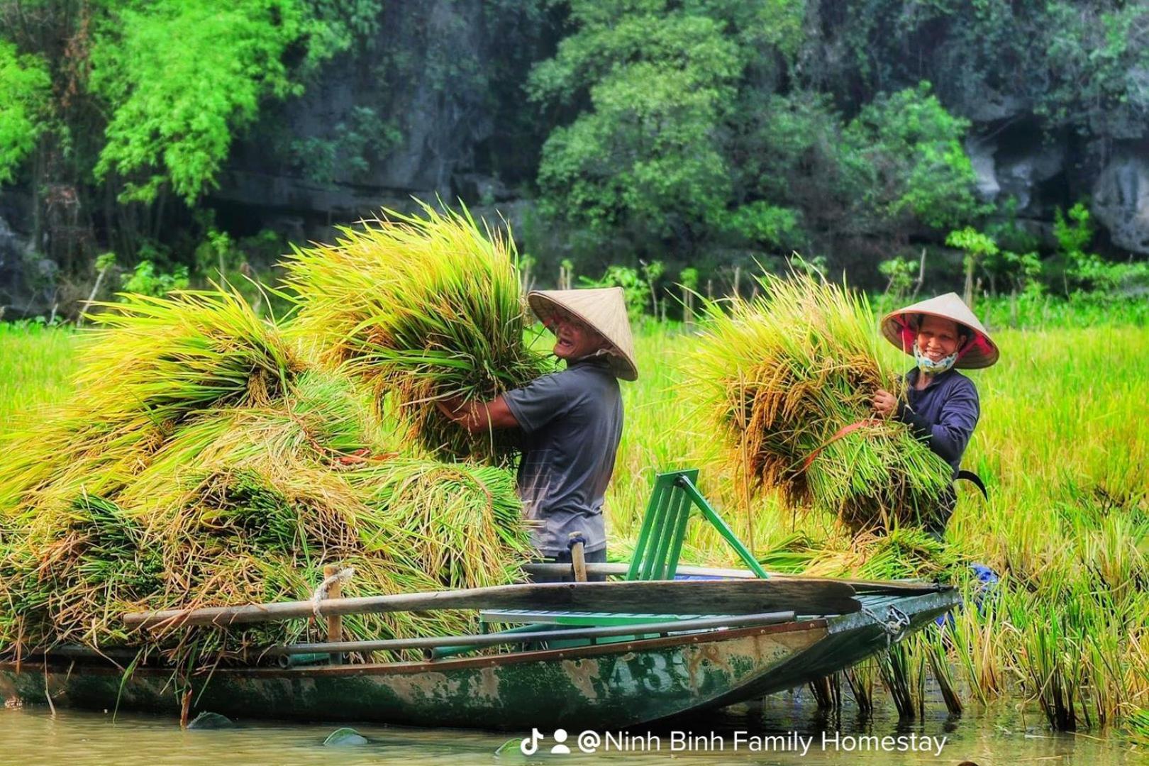 Ninh Binh Family Homestay