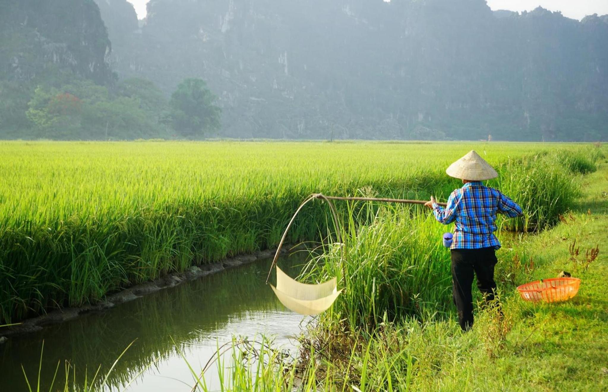 Ninh Binh Family Homestay