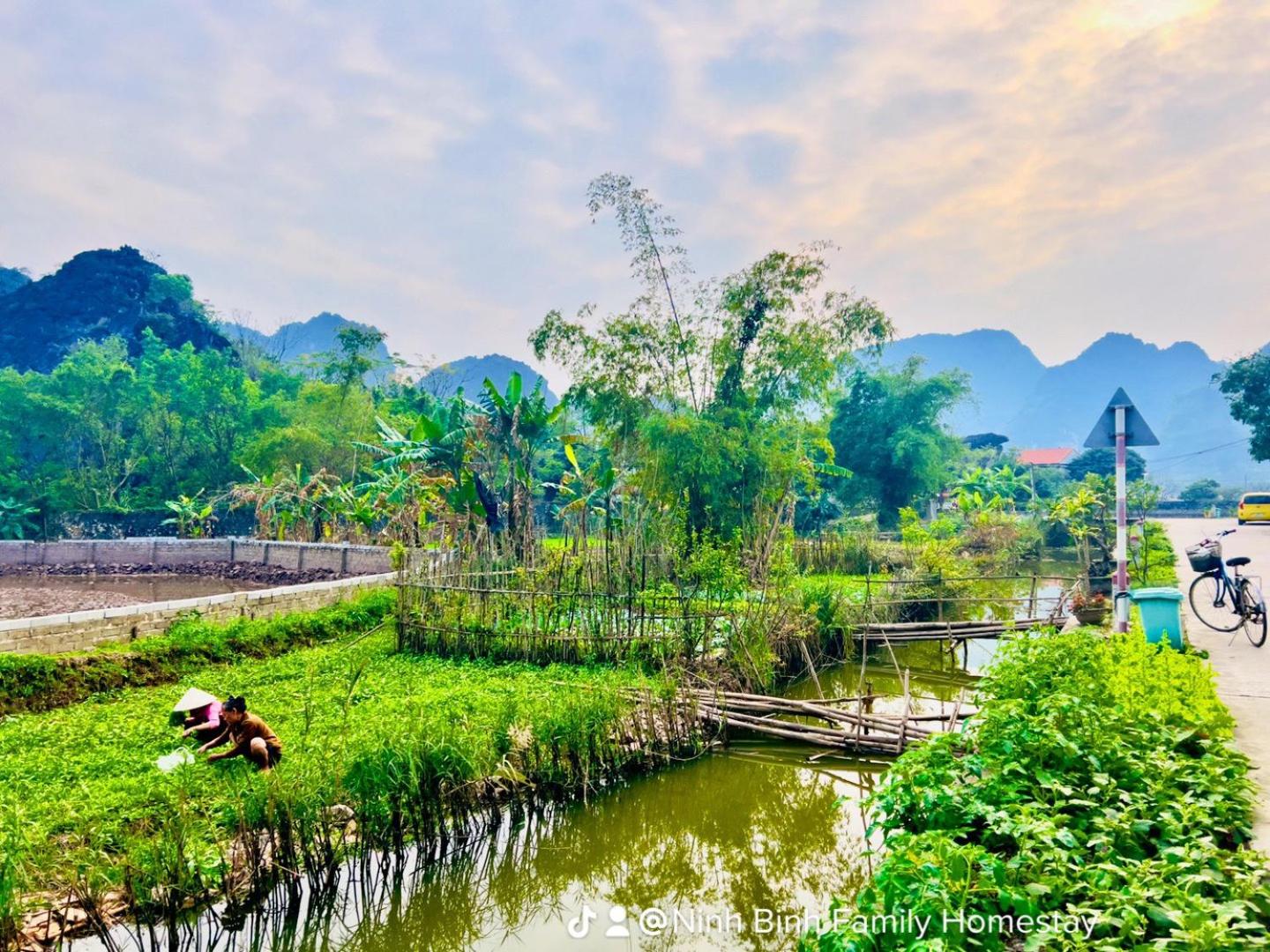 Ninh Binh Family Homestay