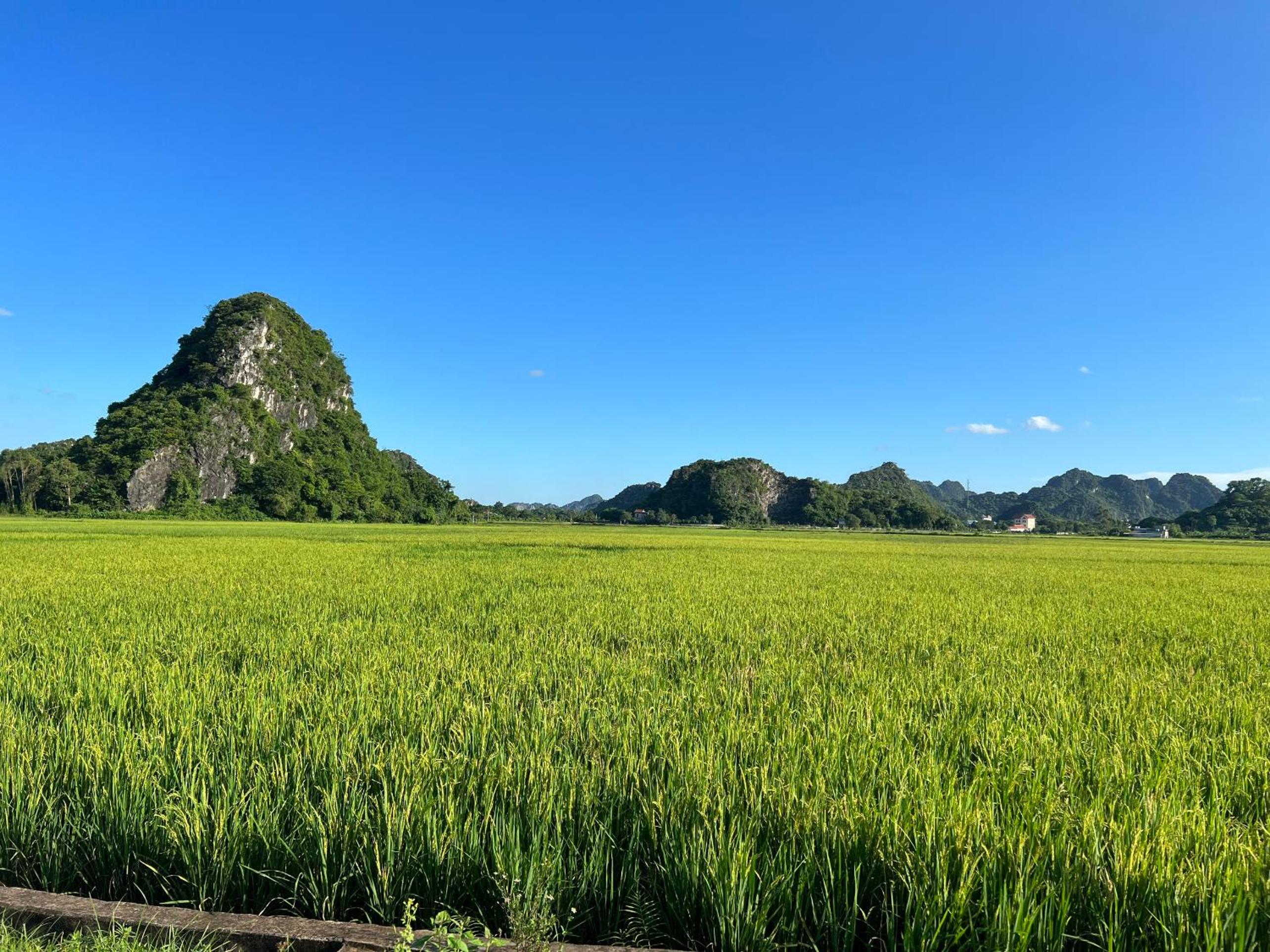 Ninh Binh Family Homestay