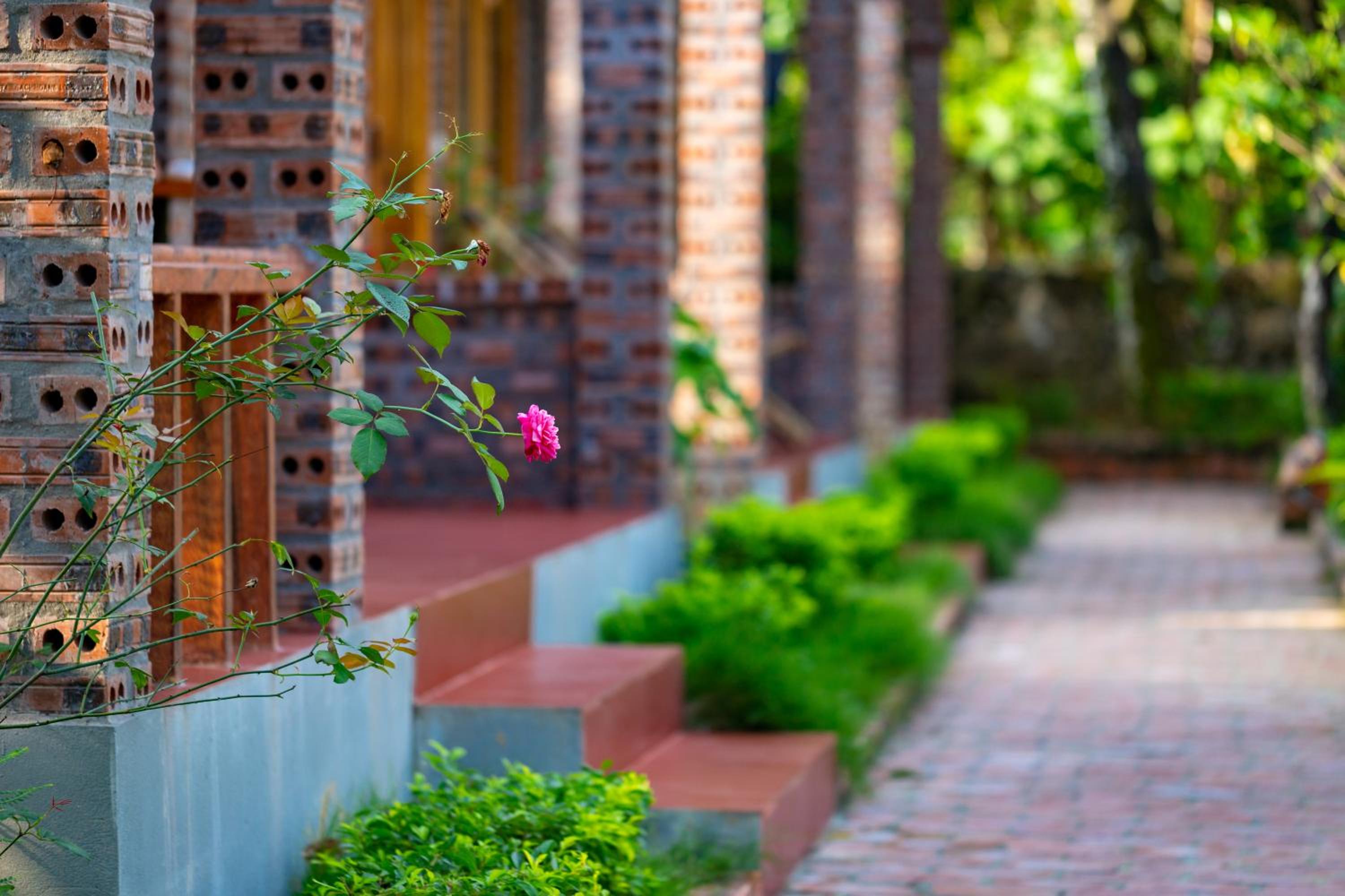 Ninh Binh Family Homestay